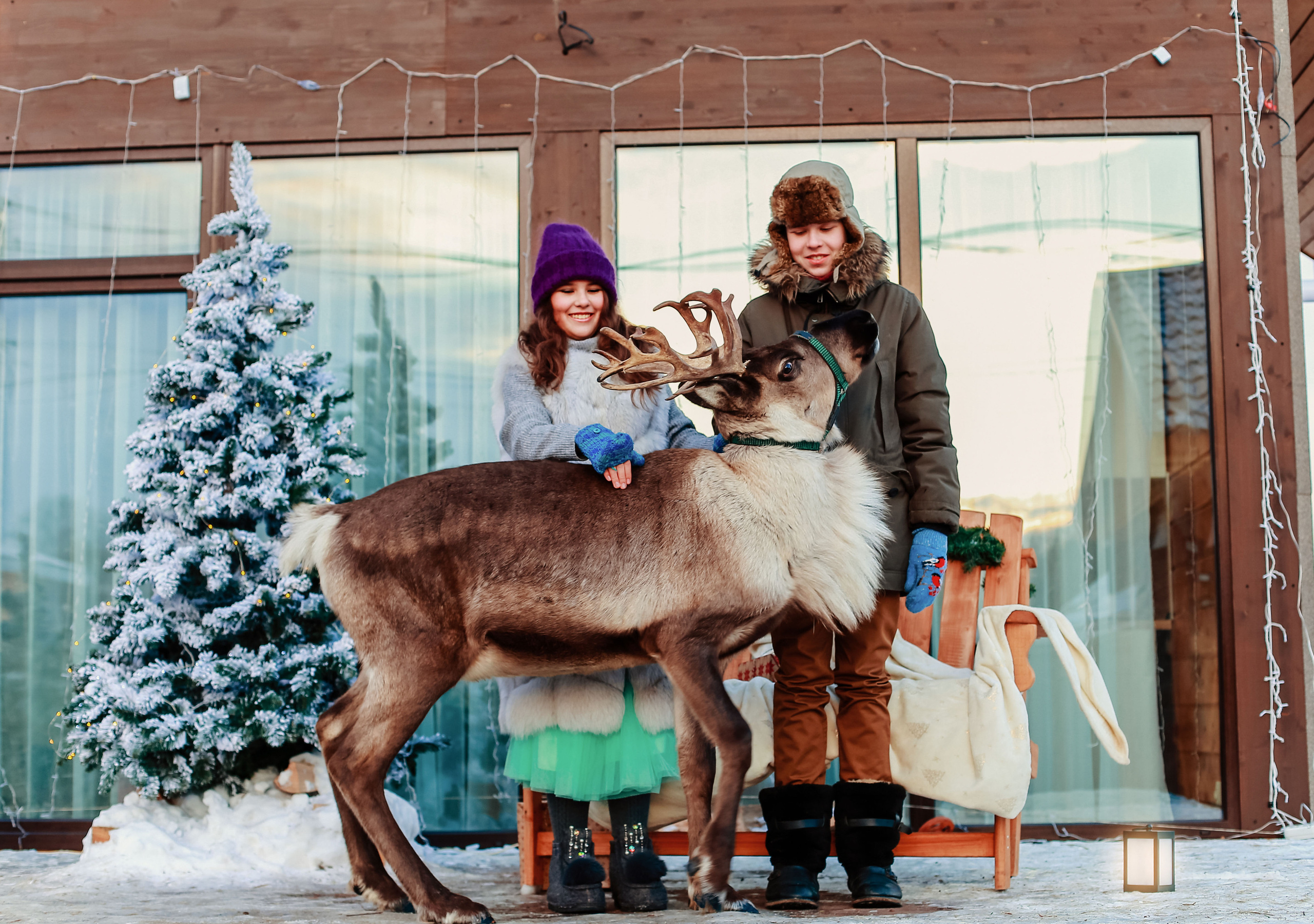 Детская фотосессия с оленем. Иванова Ирина Свадебный и семейный фотограф г. Уфа
