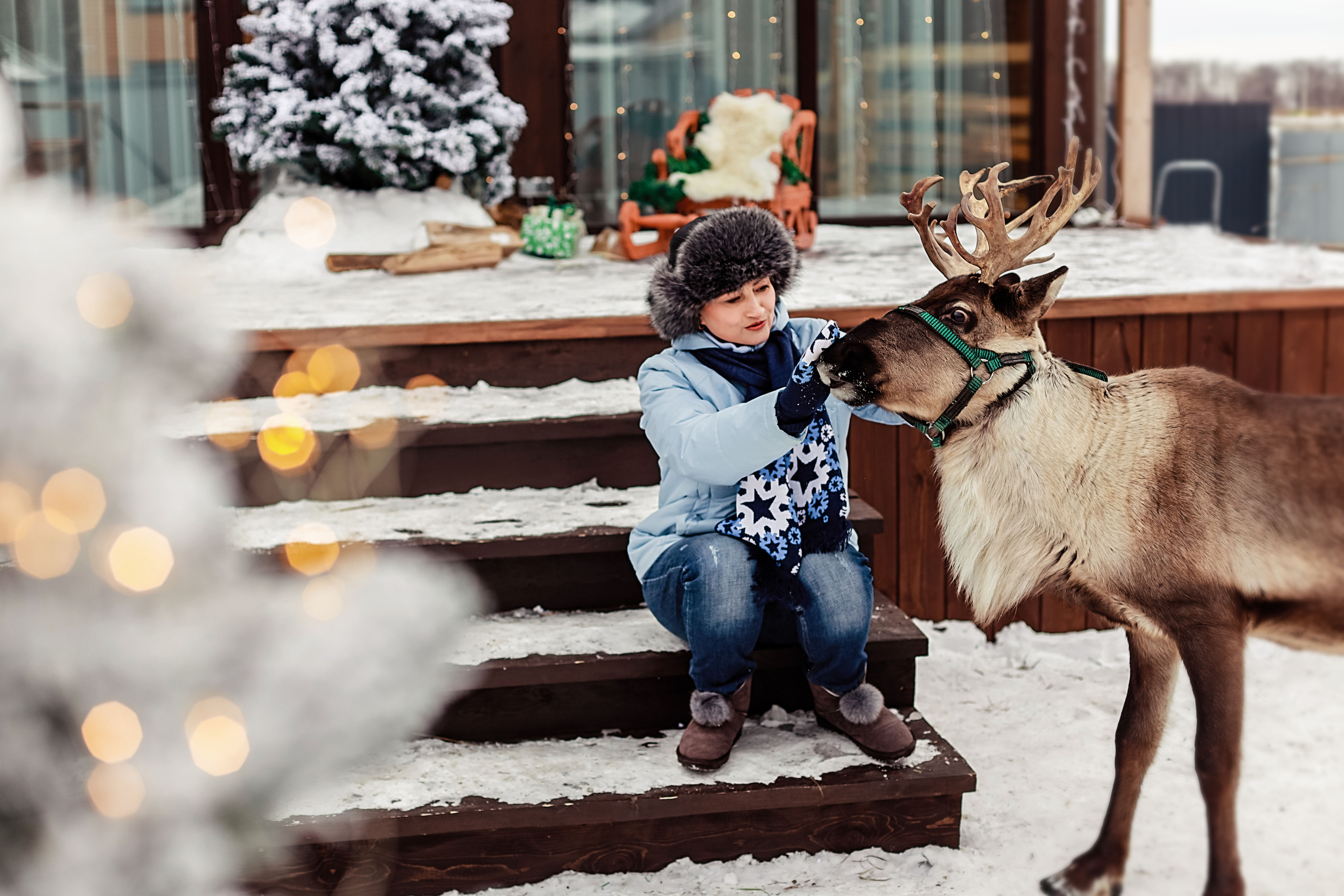 Фотосессия с оленем!. Иванова Ирина Свадебный и семейный фотограф г. Уфа