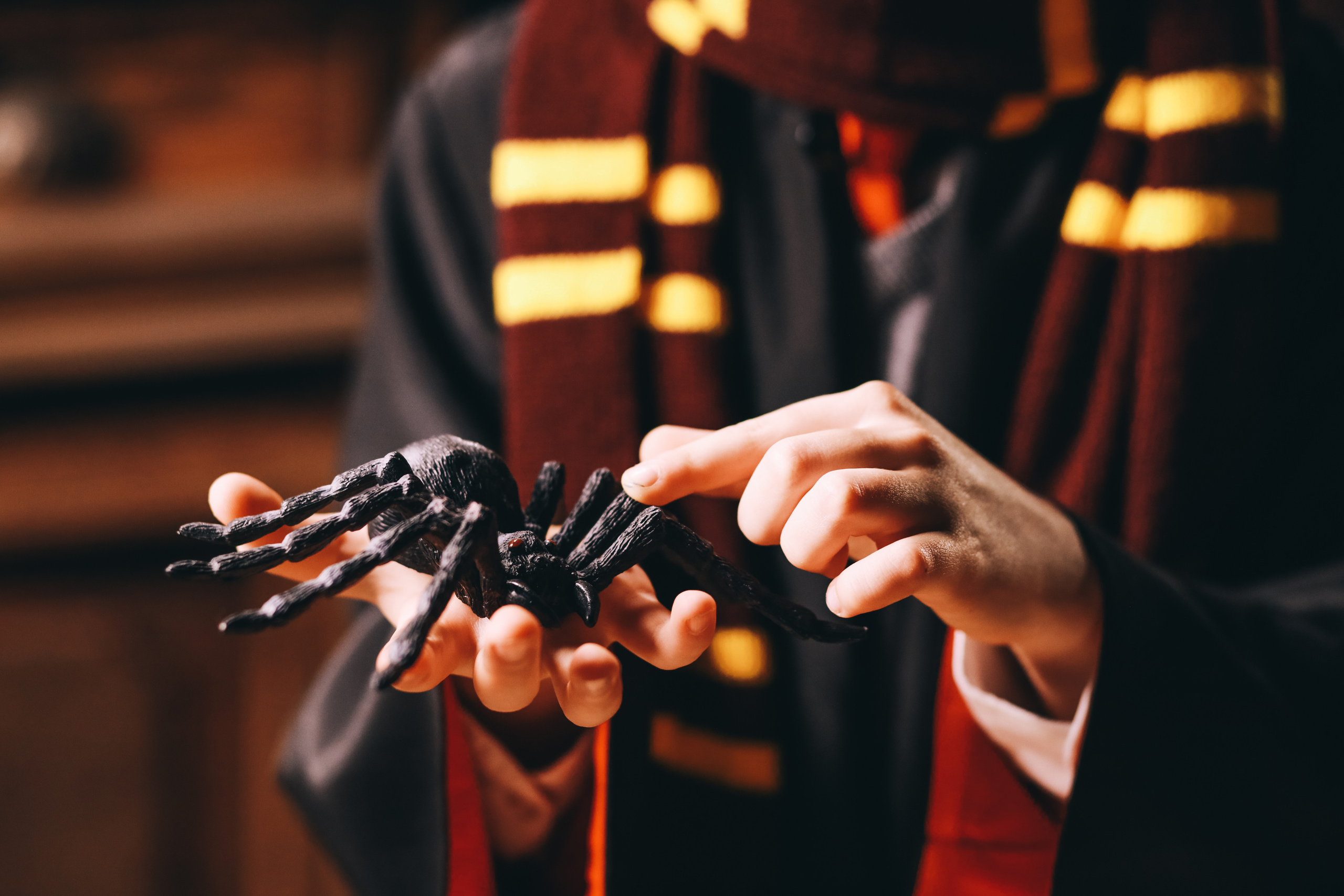 Проект Гарри Потер. Иванова Ирина Свадебный и семейный фотограф г. Уфа