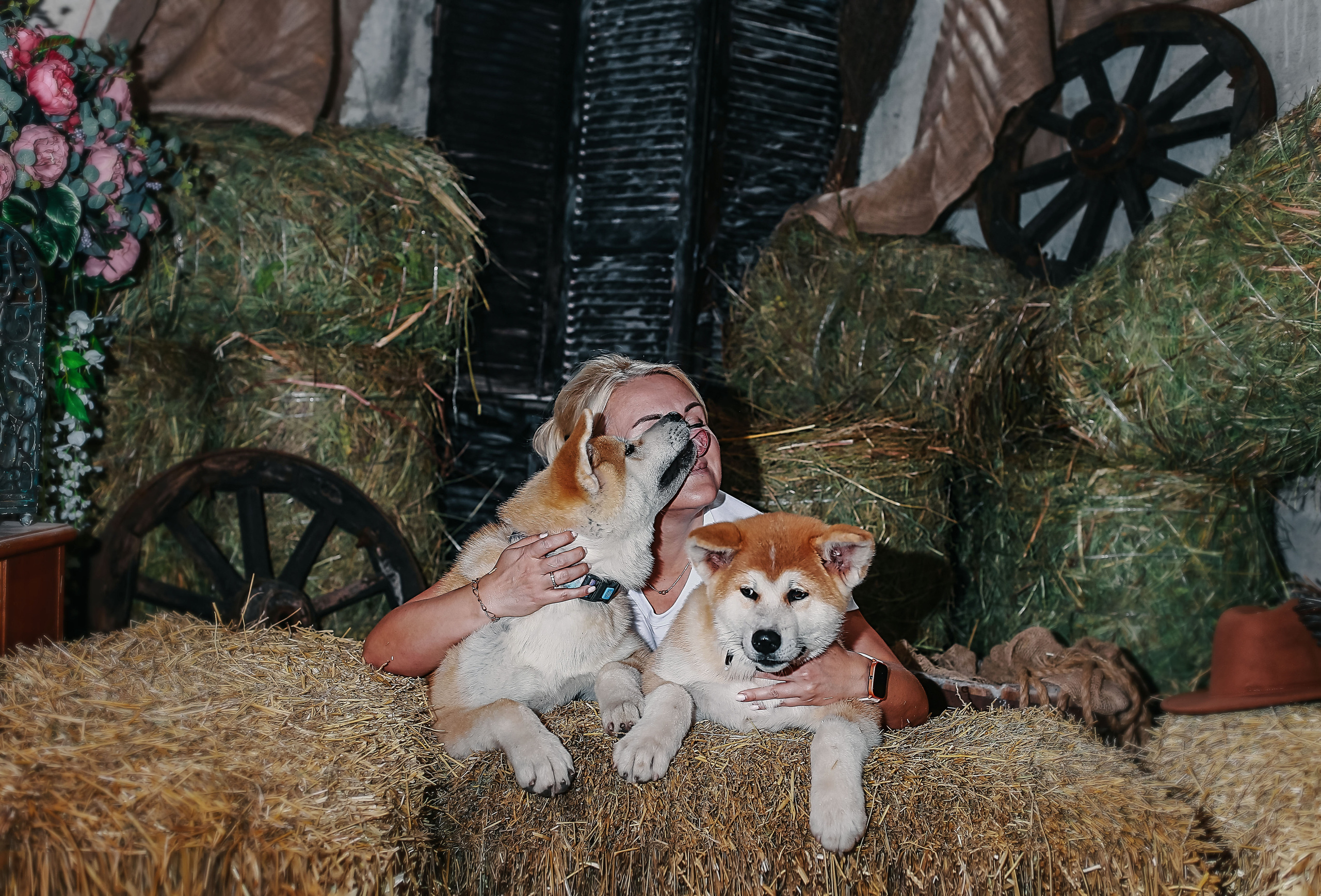 Фотосессия с собачками Акиту-Уну. Иванова Ирина Свадебный и семейный фотограф г. Уфа
