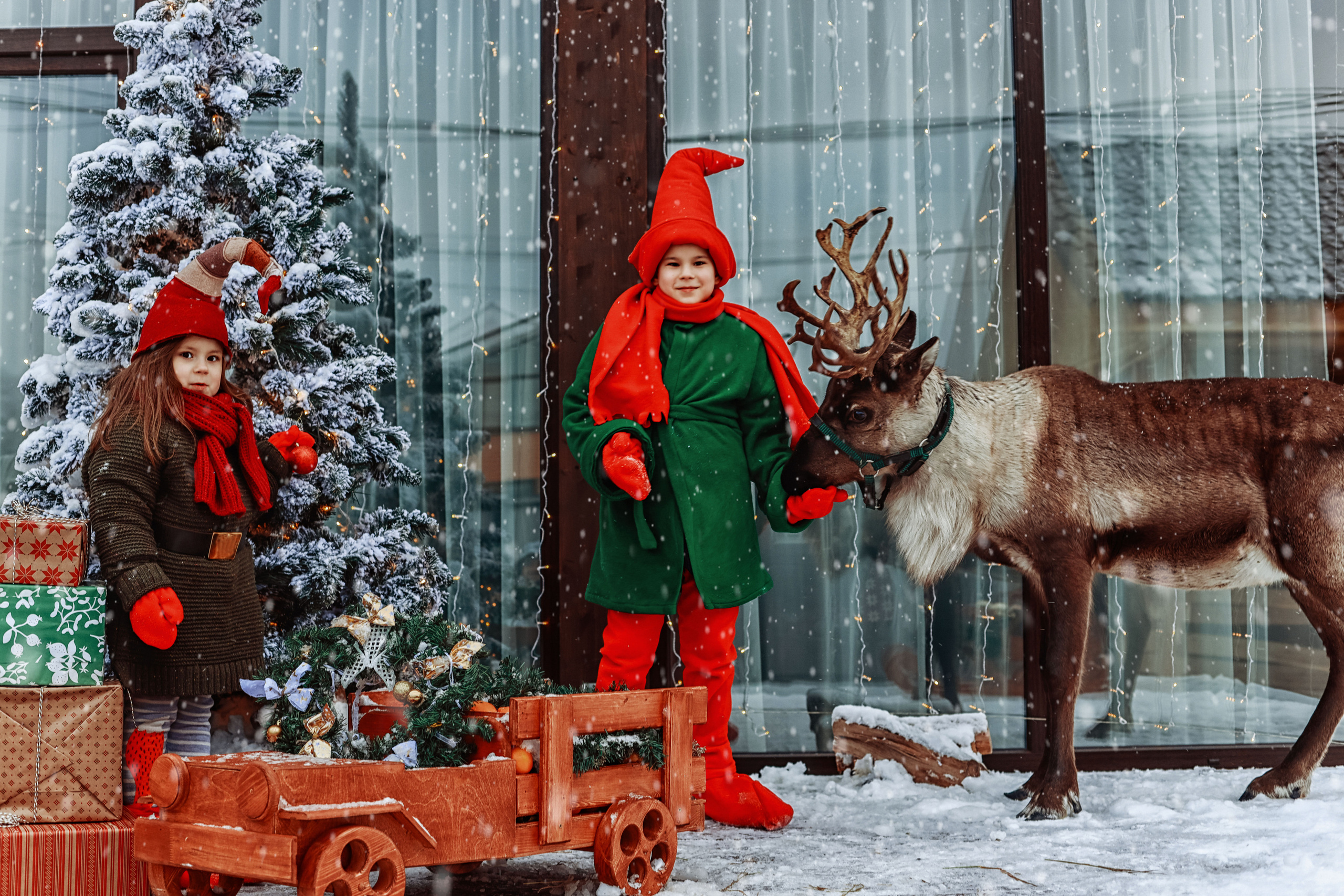 Фотосессия с оленем. 2 гномика. Иванова Ирина Свадебный и семейный фотограф г. Уфа