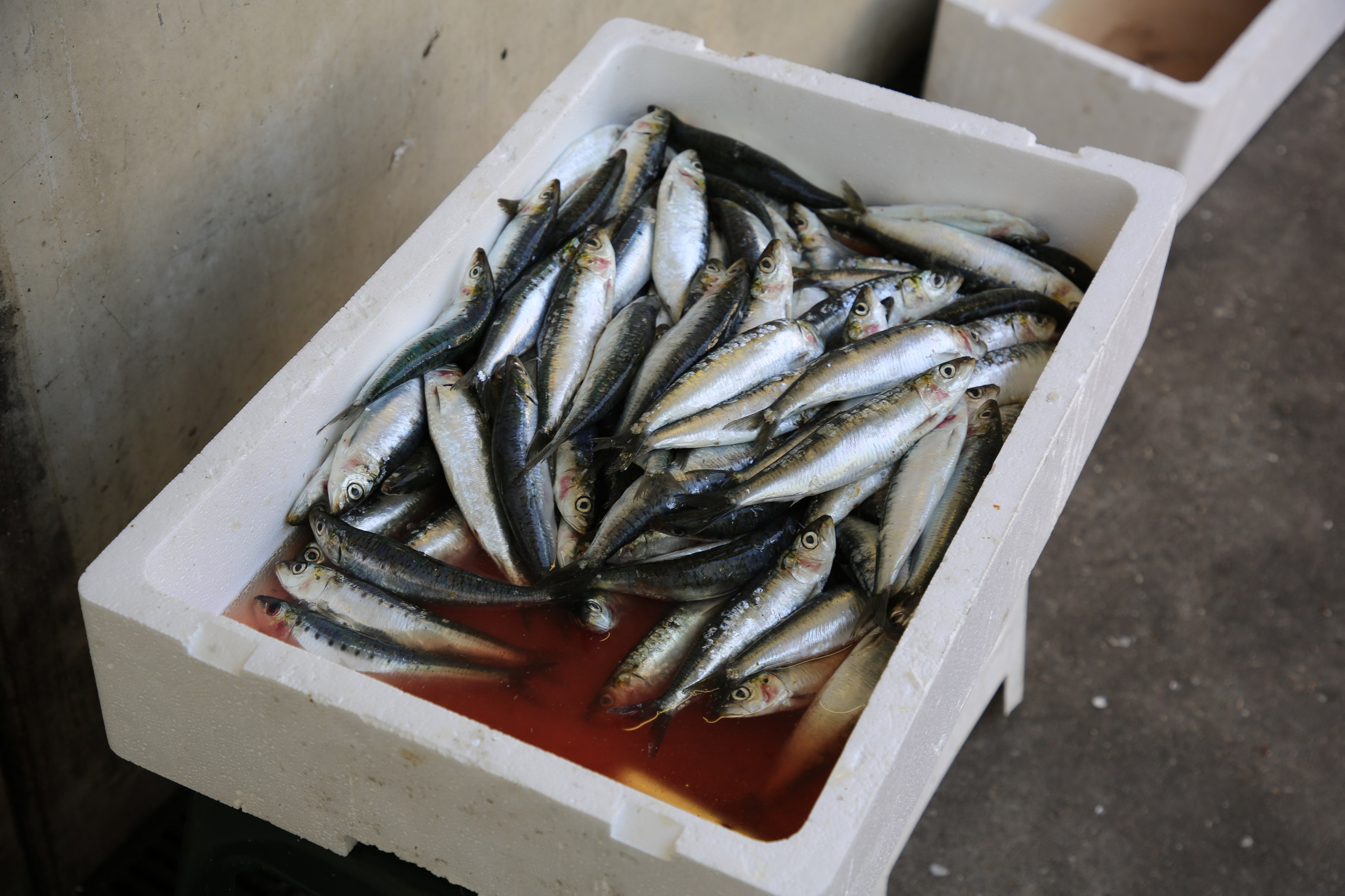 Espihnio, Portugal. Andrey Filippov Photographer