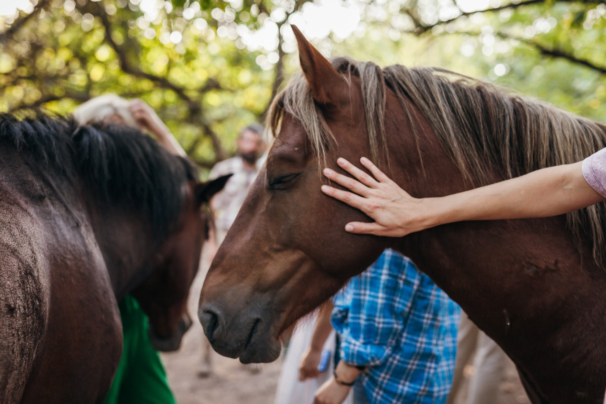 Репортаж для «Райского сада». Портретный и семейный фотограф в Минске