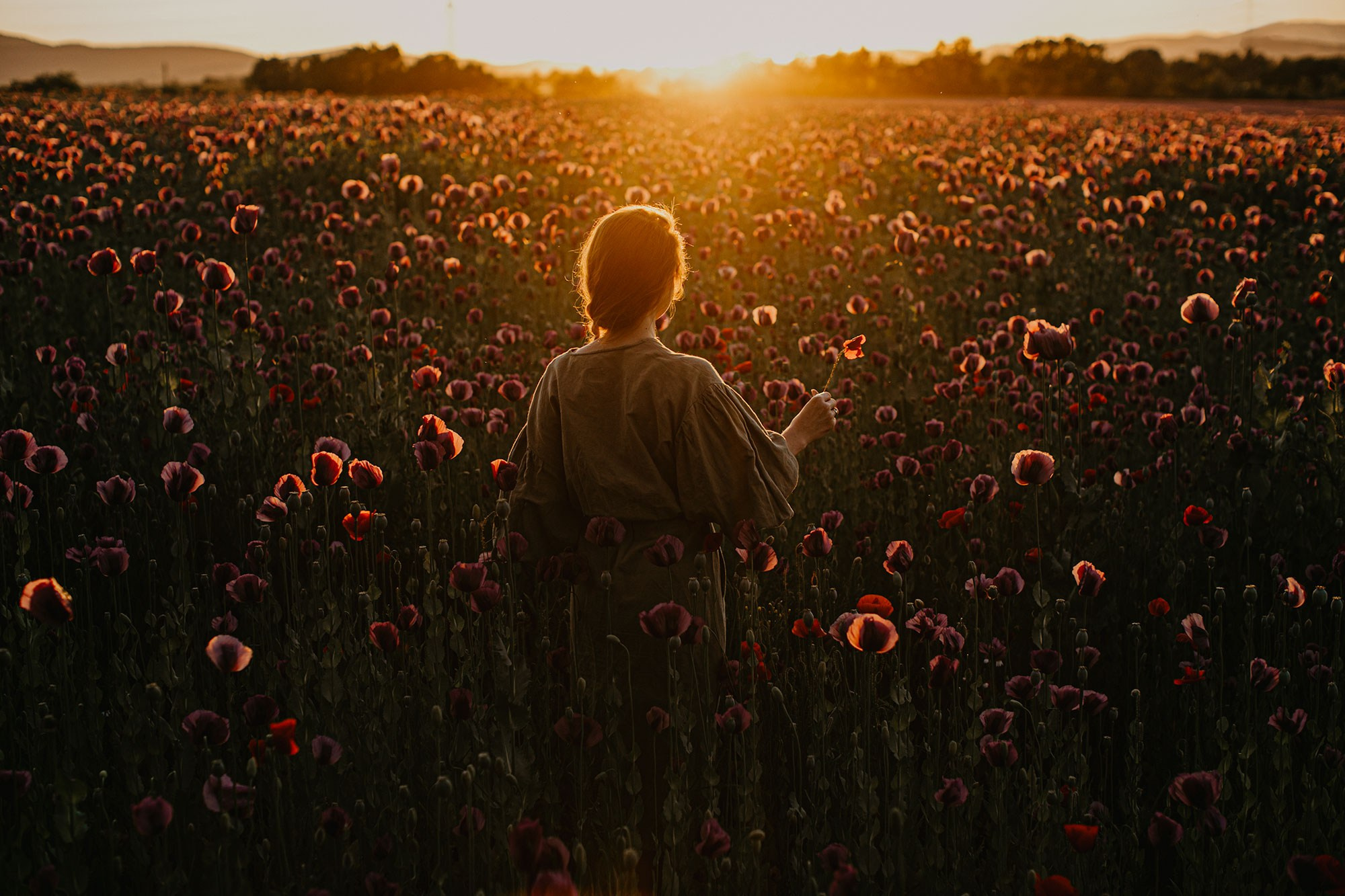 Будапешт. Фотограф в Москве и Будапеште