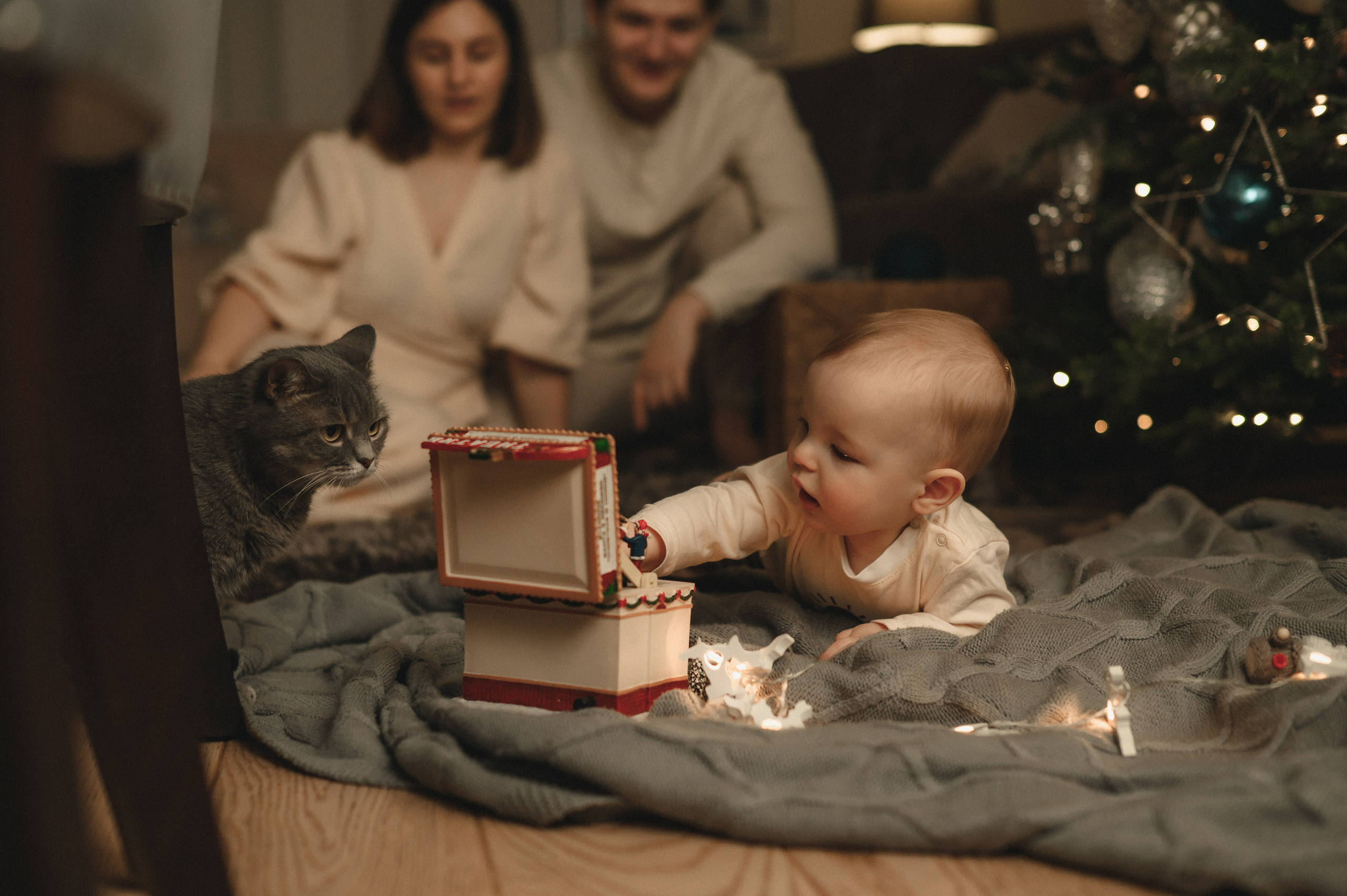 Домашняя новогодняя история. Семейный фотограф в г. Ставрополь, Сорокина Мария