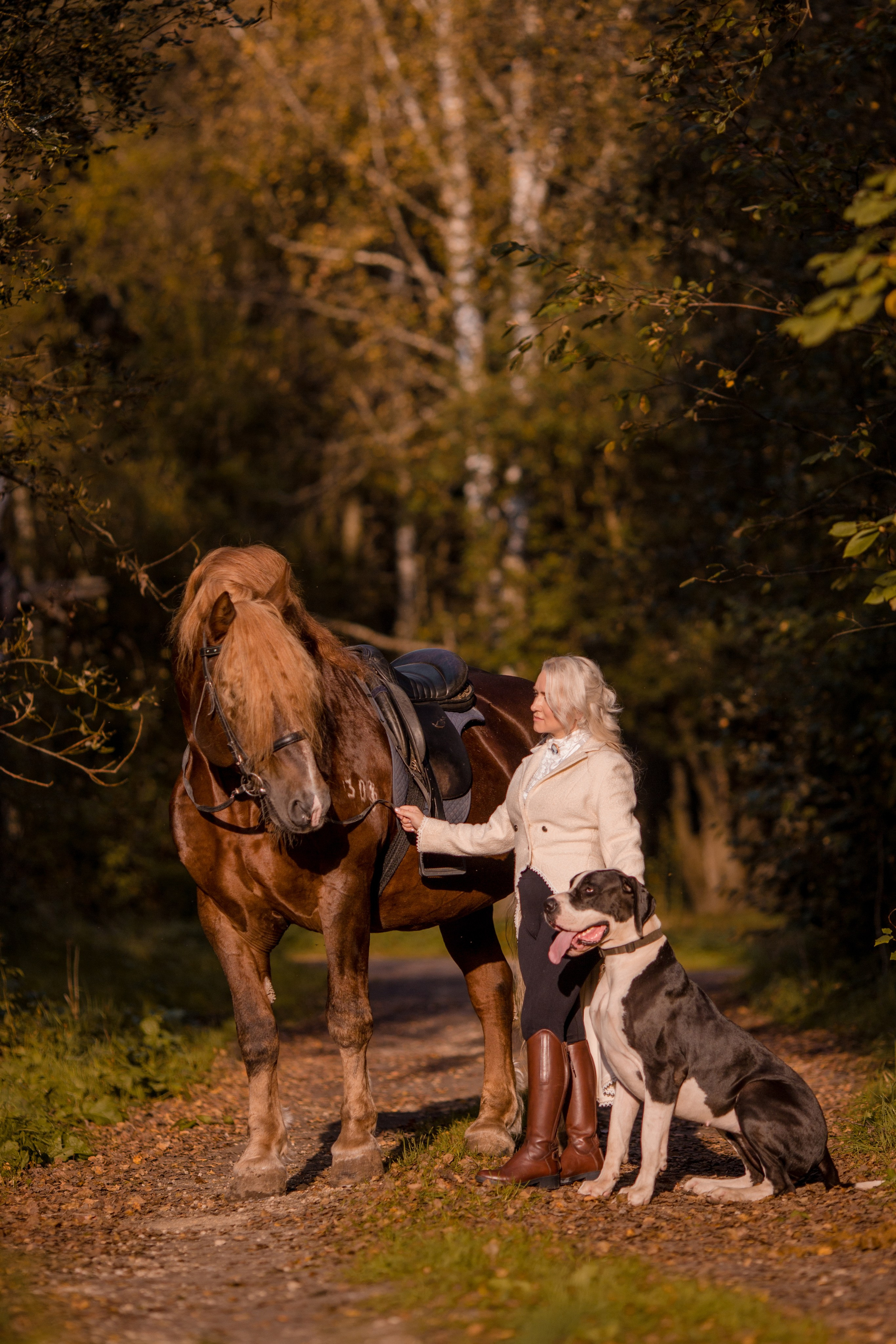 Фотосессия с лошадью и догом 