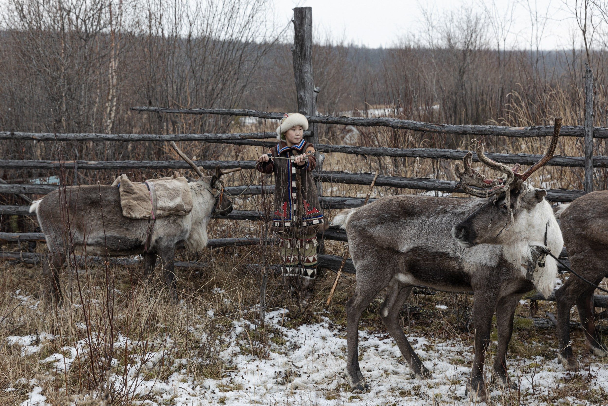 Сурена для Regnum. Юлия Невская режиссер и сценарист документального кино, документальный фотограф