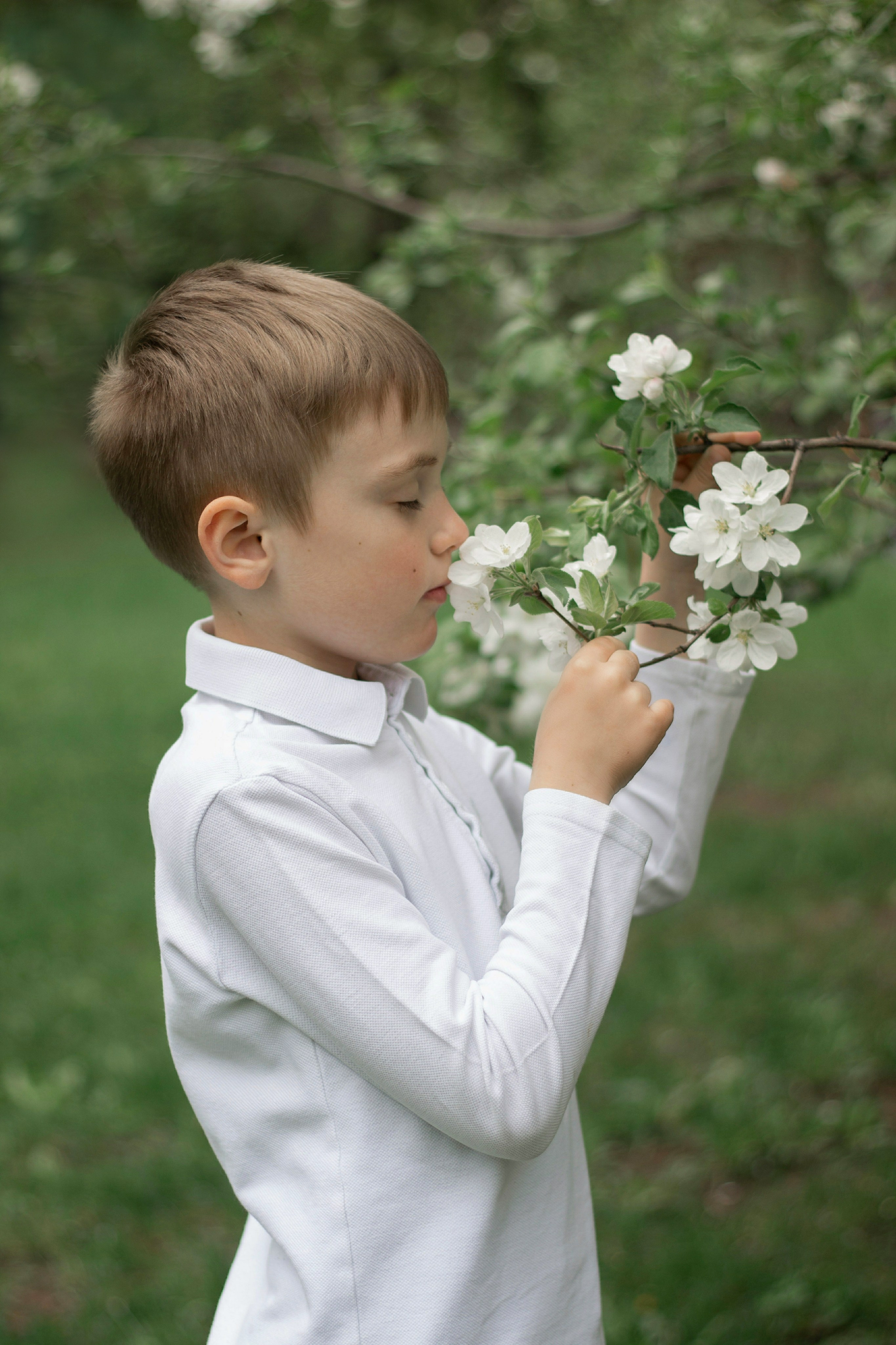 Съемка в цветении. Детский и семейный фотограф в Уфе Зинаида Вольштейн