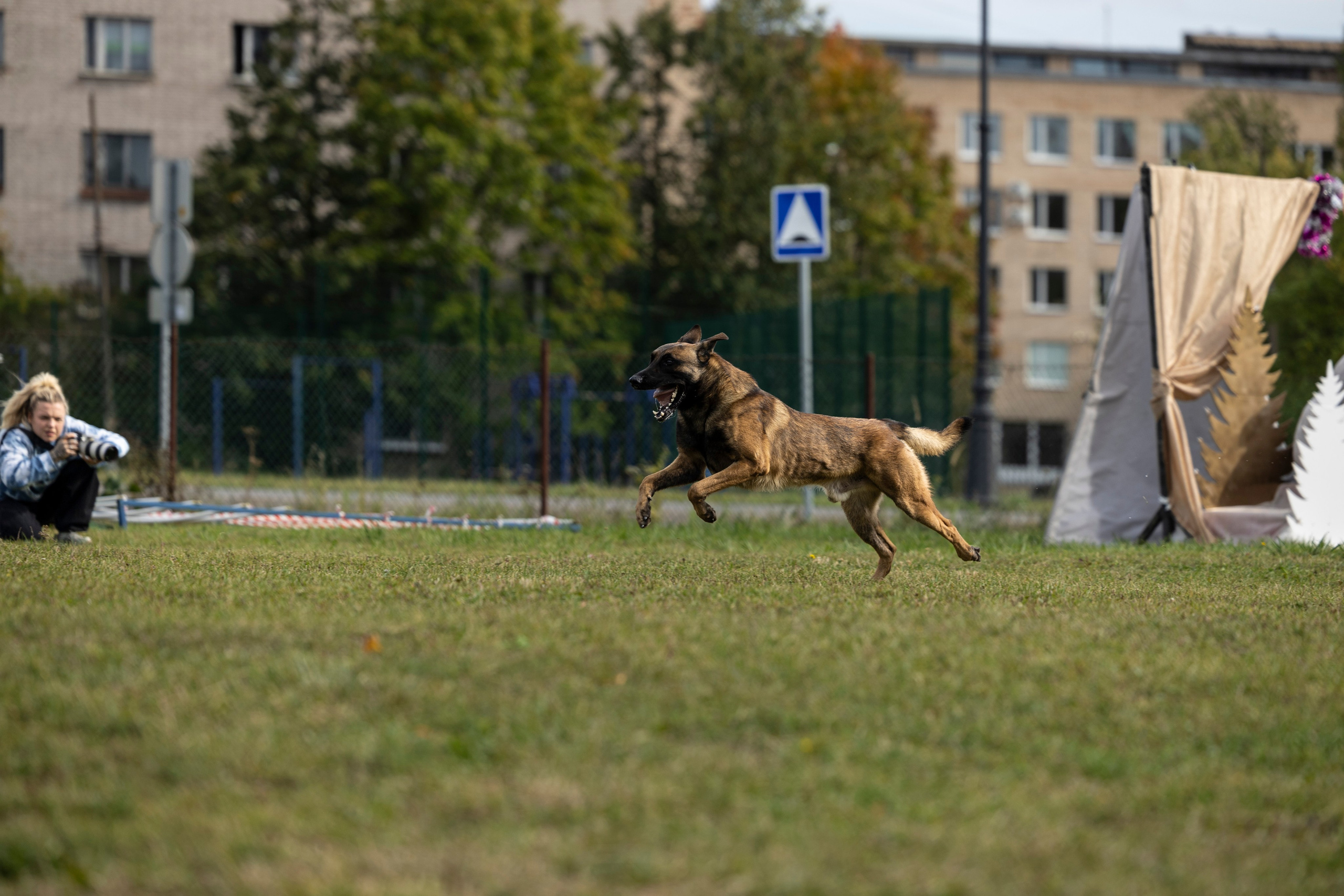 Испытания по Мондьорингу г. Пушкин. Фотограф-анималист Анна Маринич