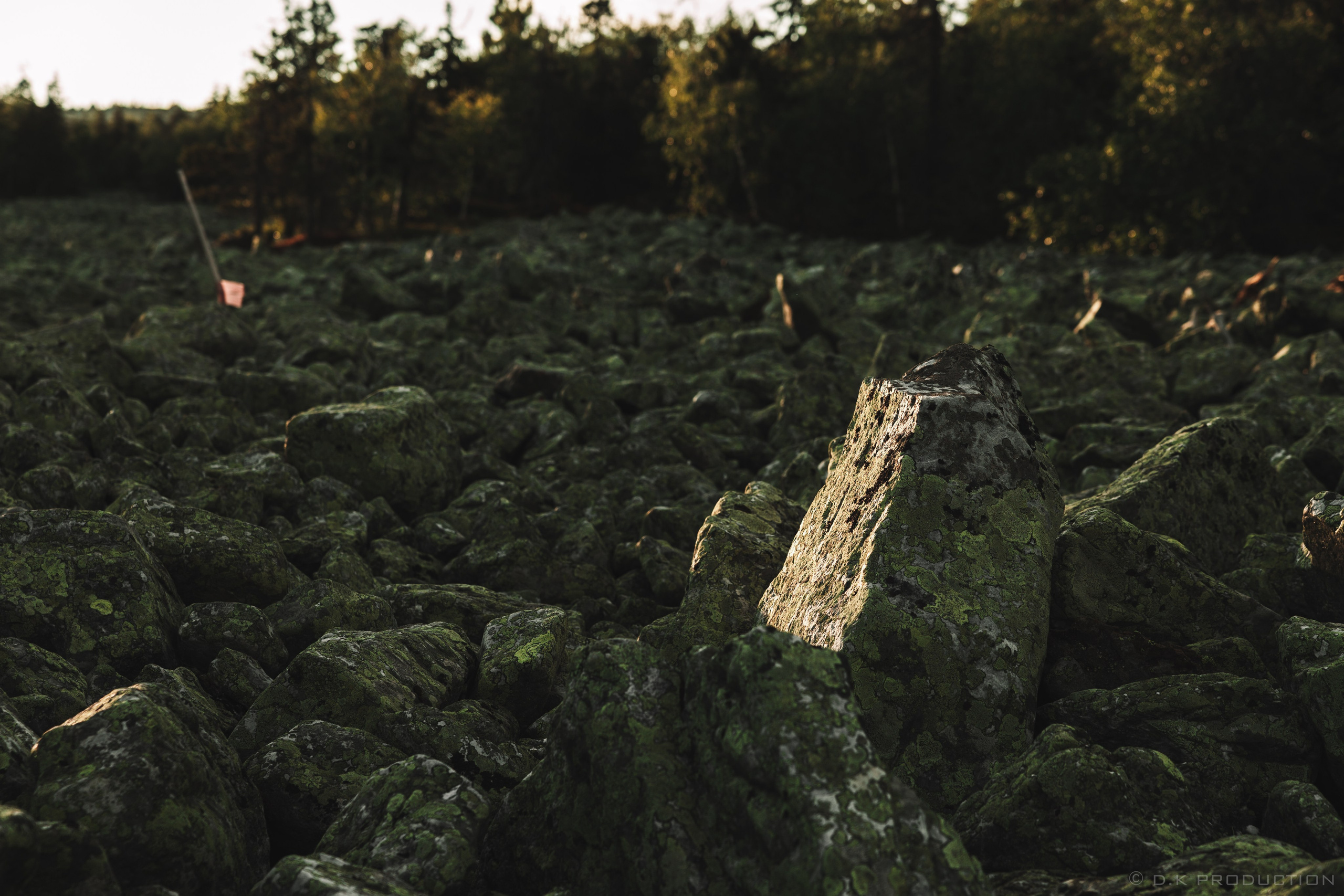 Экспедиционная фотосессия в горах/на природе