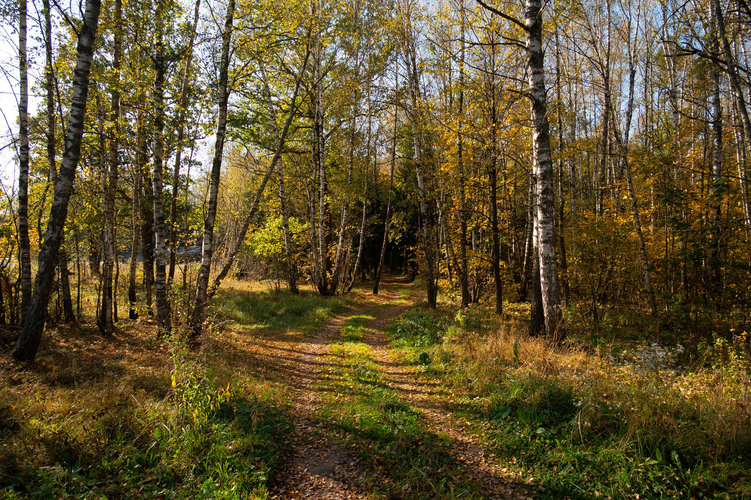 Суворовские карьеры. Фотограф и видеооператор в Туле | Даниил Рыбак