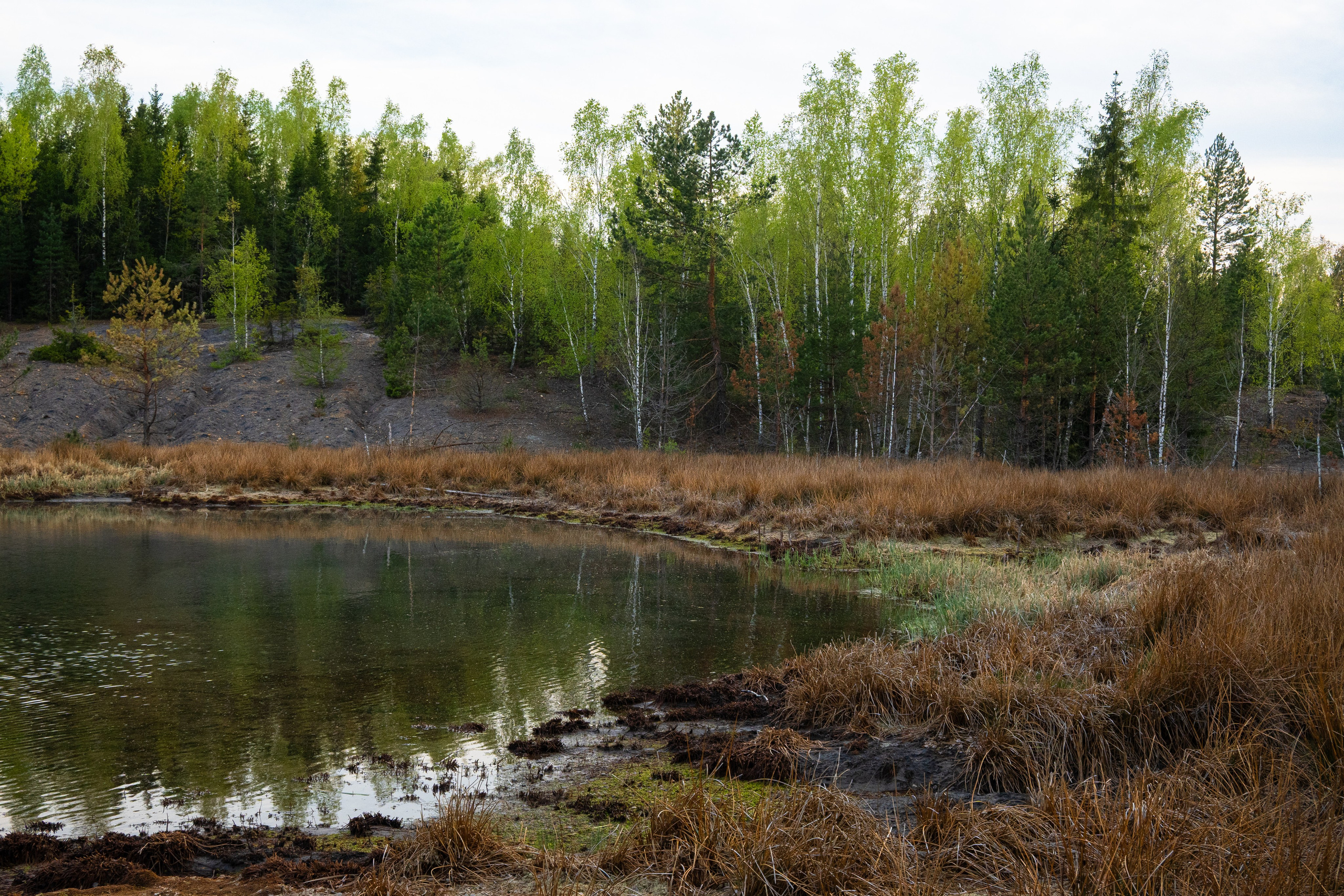 Суворовские карьеры. Фотограф и видеооператор в Туле | Даниил Рыбак