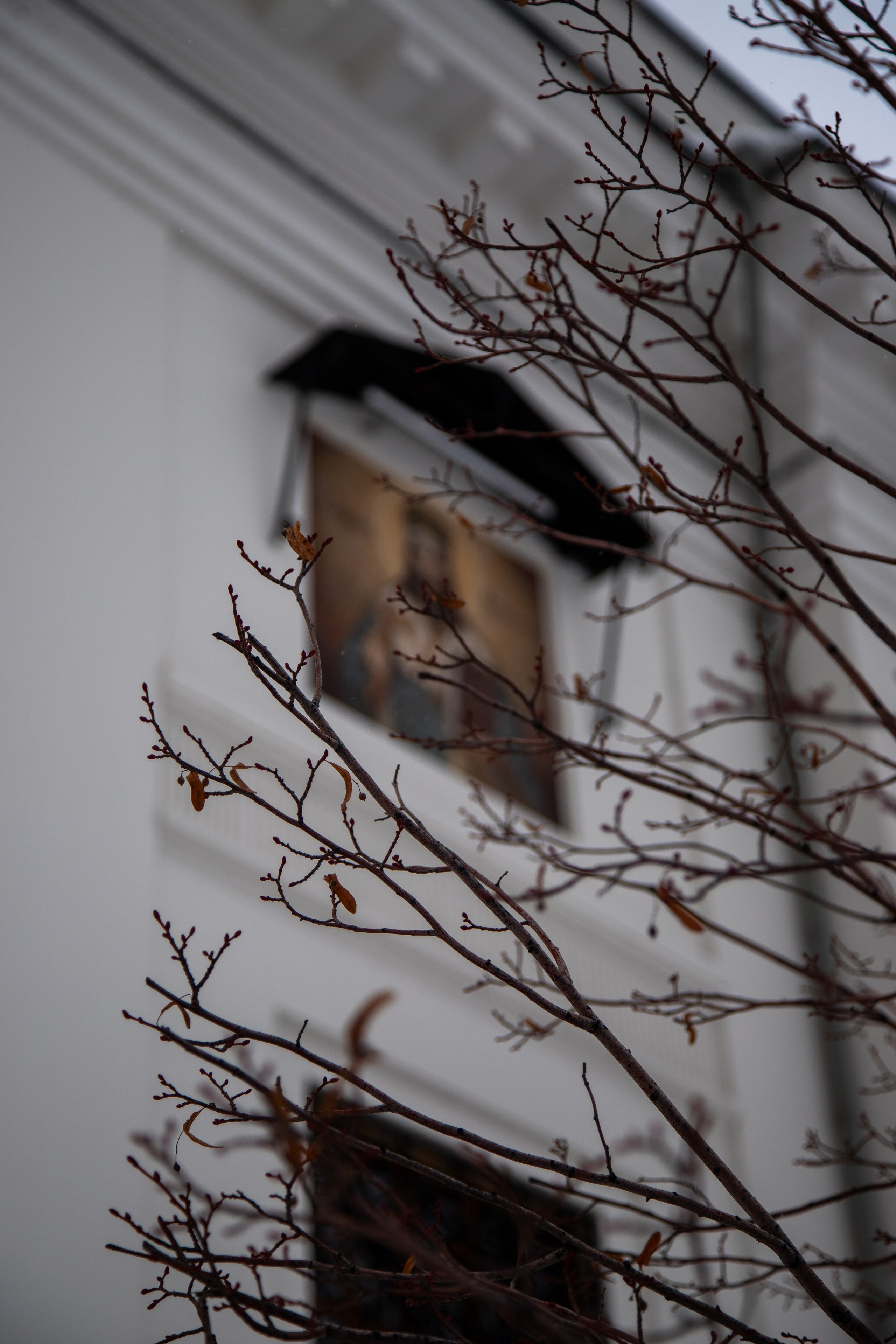 Архитектура Татарстана. Фотограф в Перми Любовь Огородова | Авторские туры