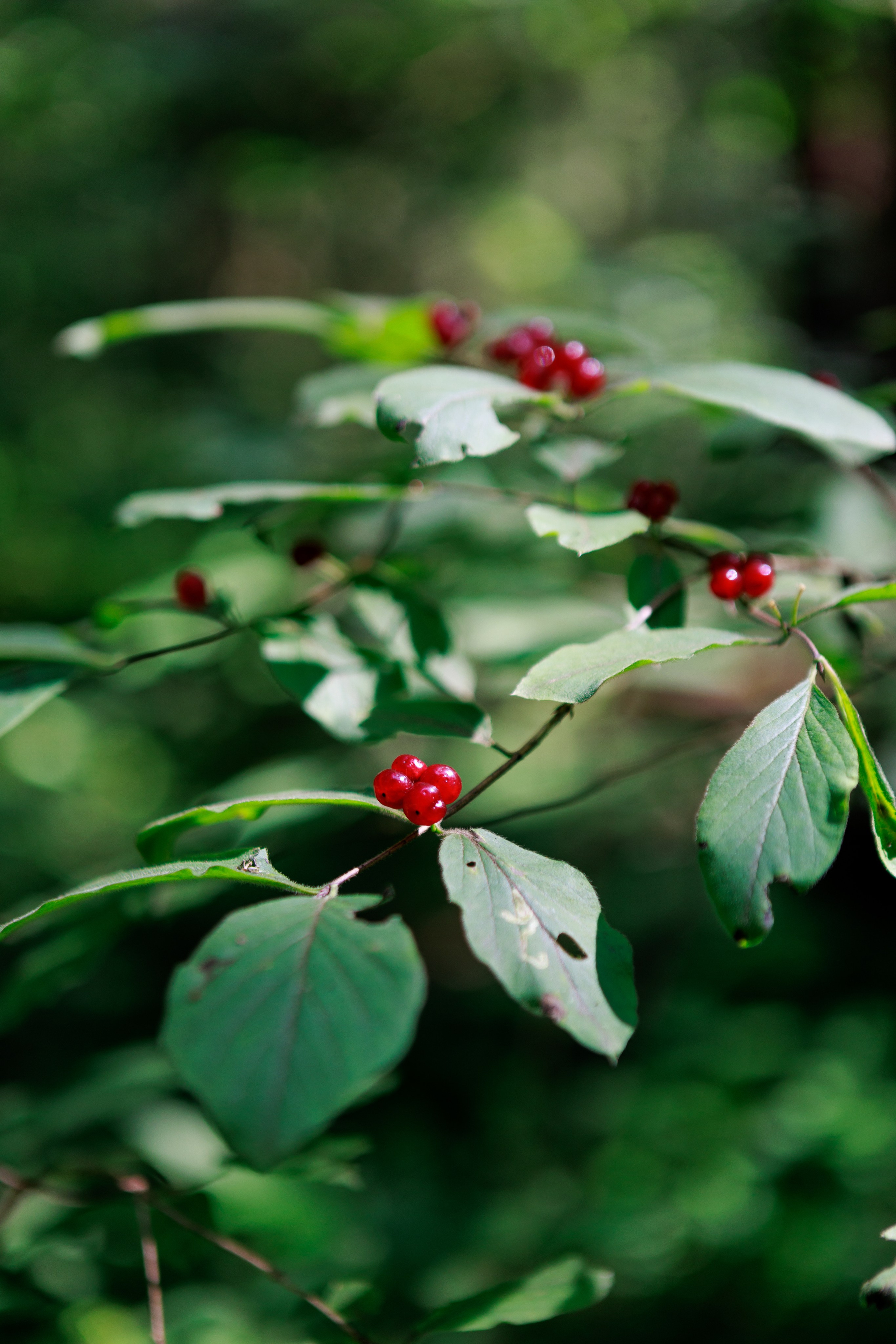 Travel. Индивидуальная и семейная съёмка. Москва, Наталья Самохвалова