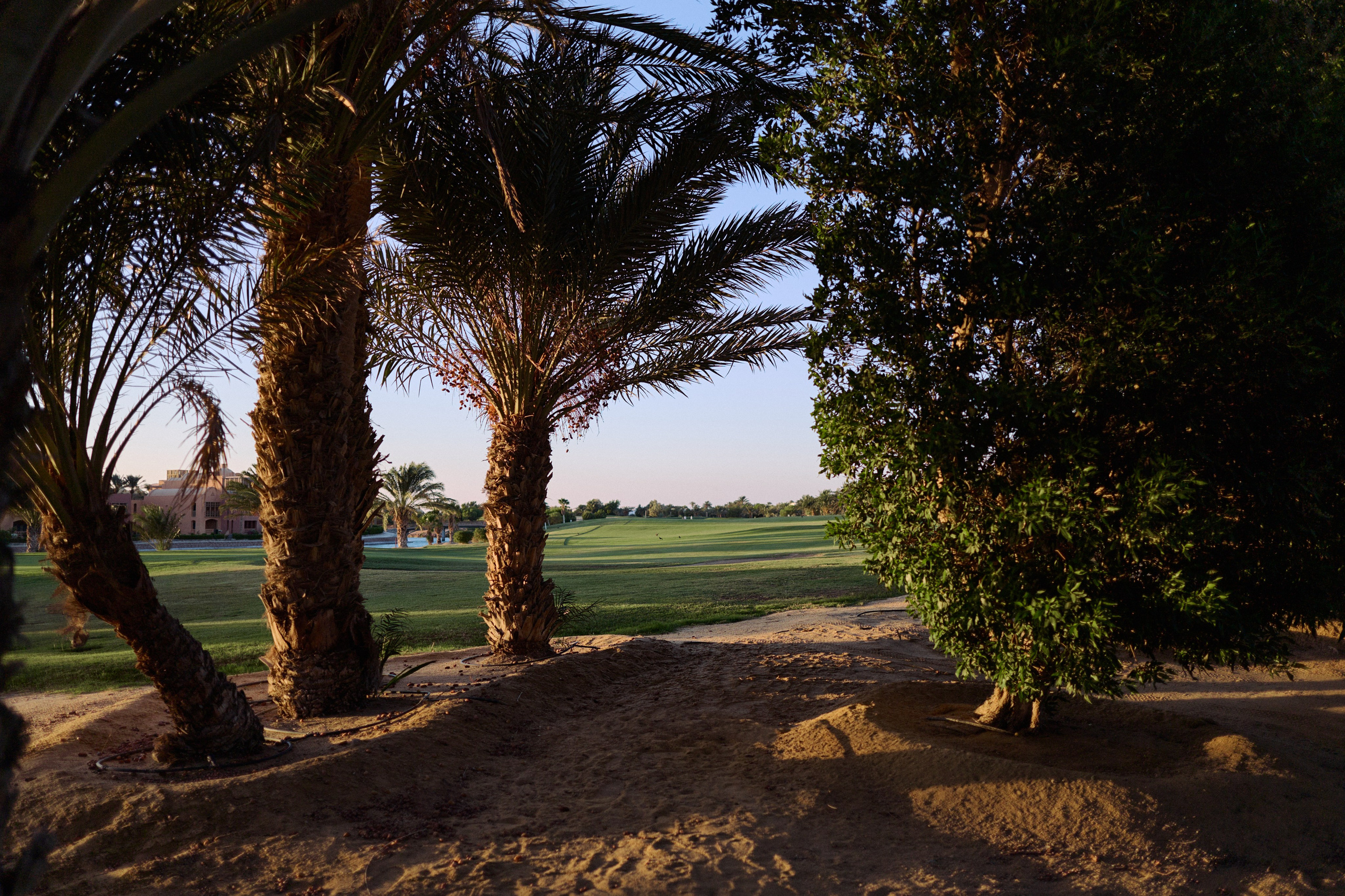 Другое 3. Jorgis Talè — photographer, kind person, teacher of arts and other mag