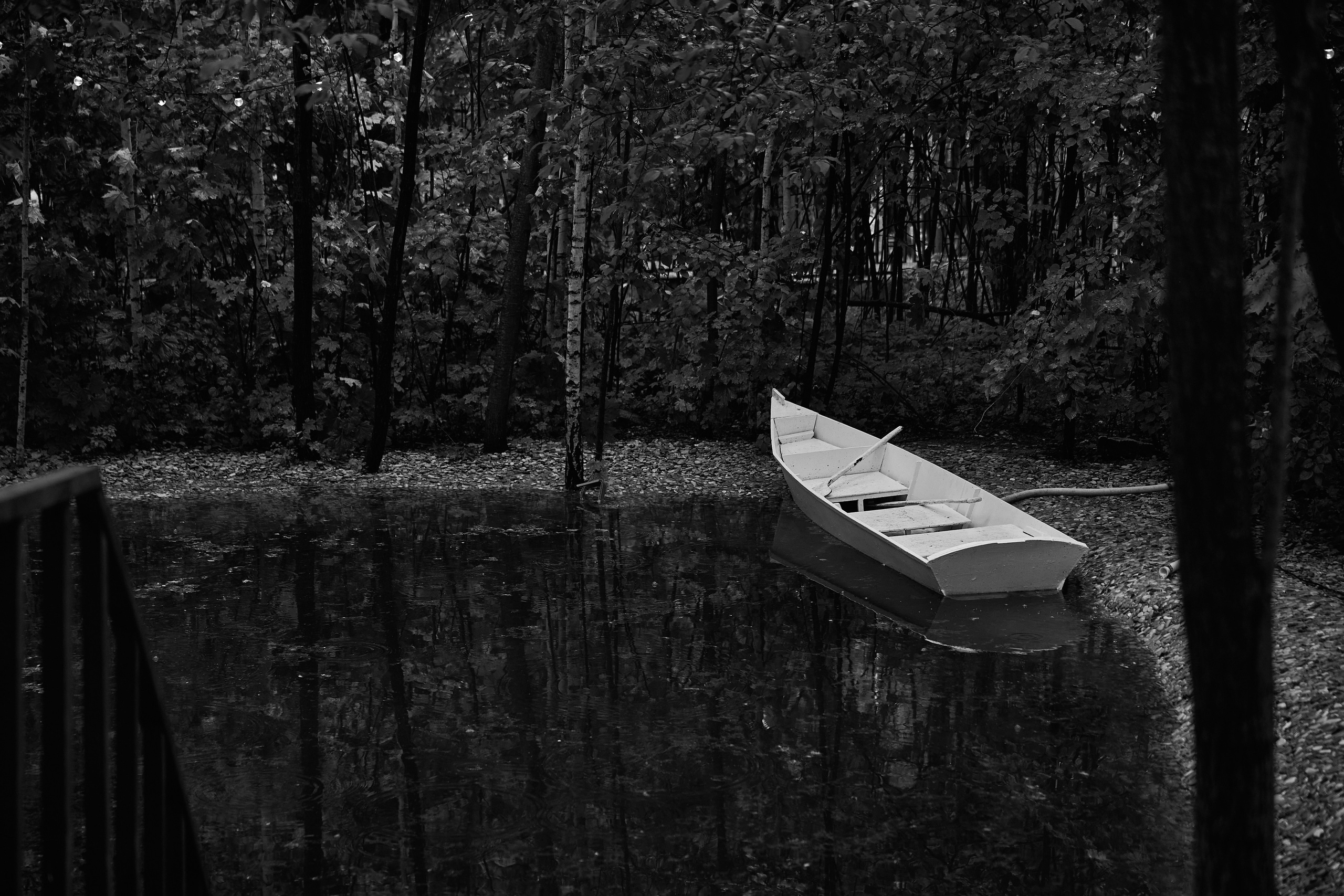 Максим и Софья. Kharchenkotatianaweddingphoto