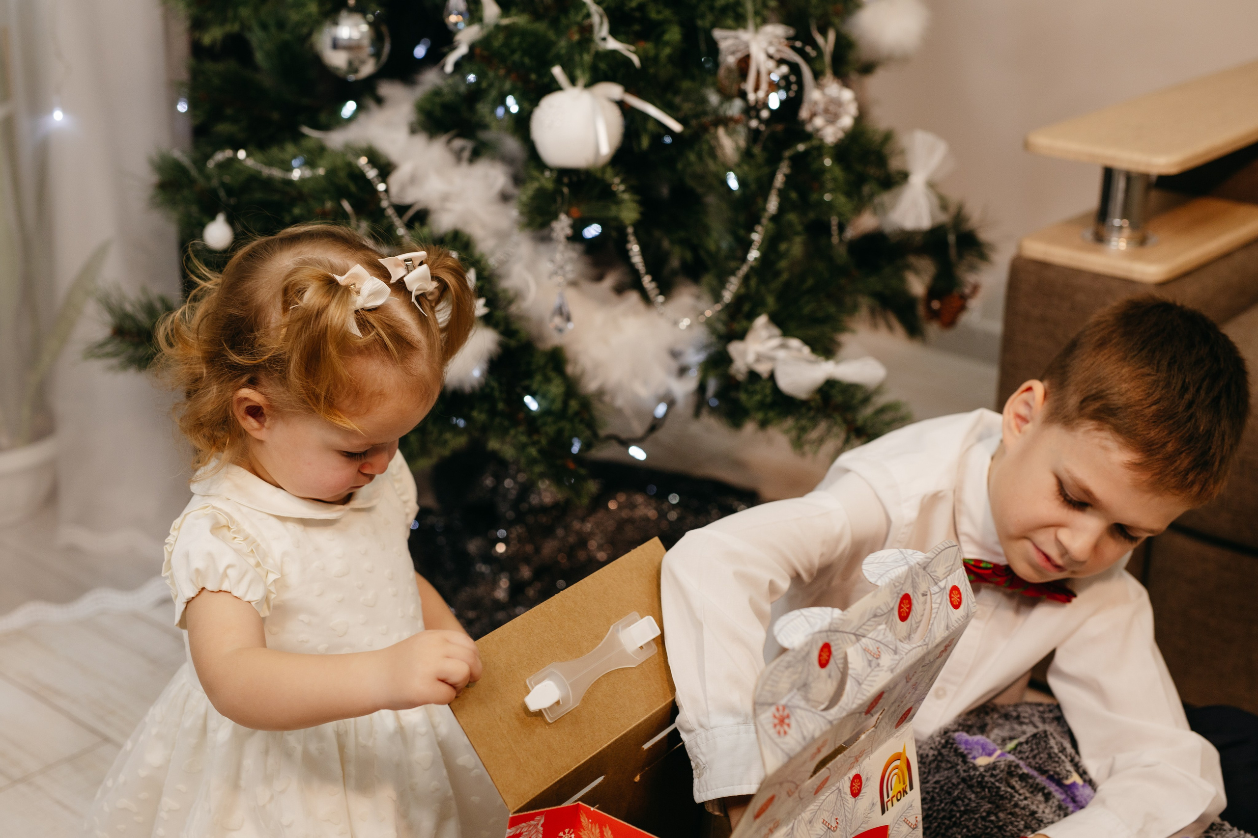 Новогодняя домашняя. Свадебный и женский фотограф