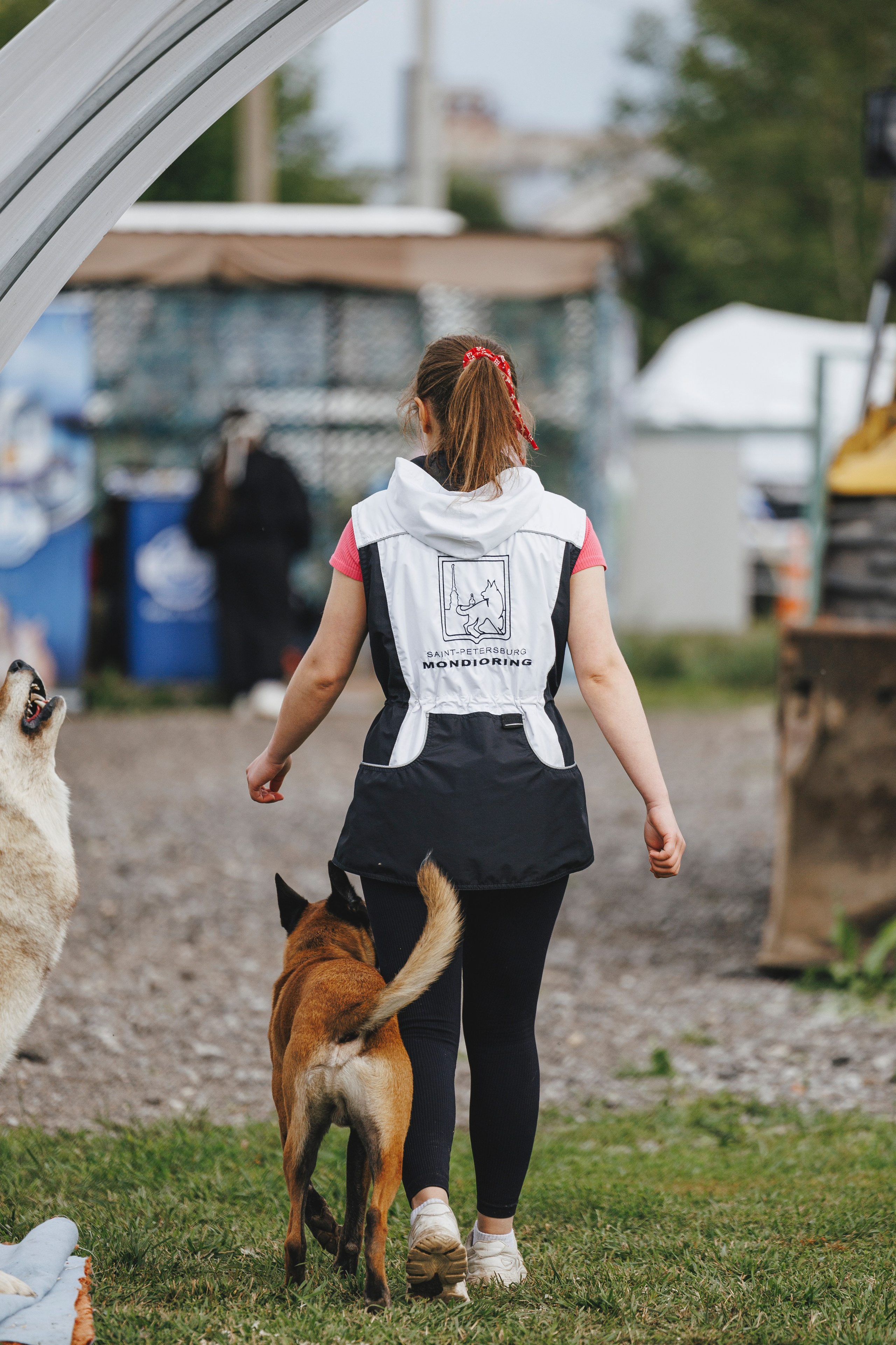 08.08.25-10.08.25 ЧР по мондьорингу г. Вологда. Фотограф-анималист Анна Маринич