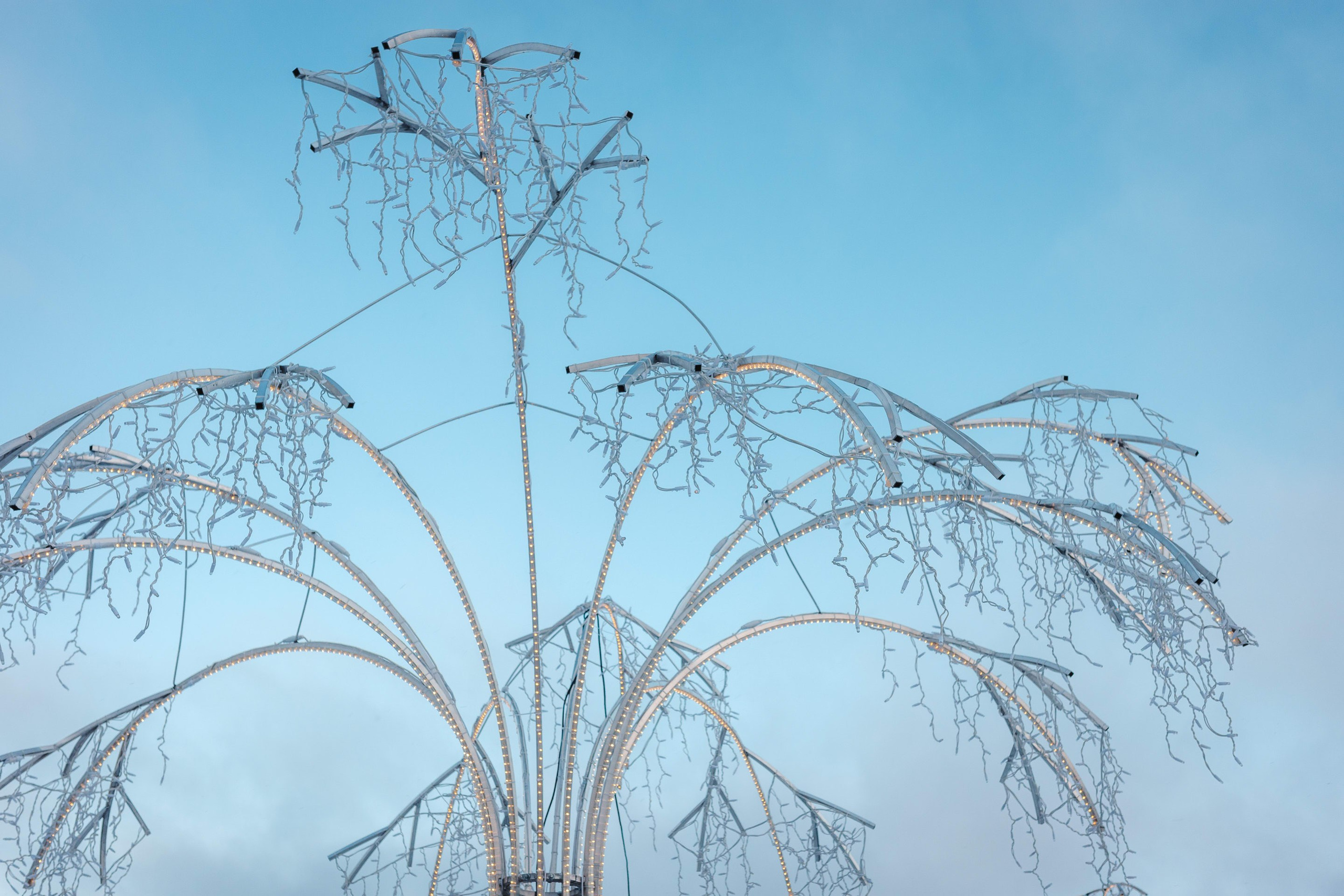 2024.01. Фотограф Алексей Алексеев