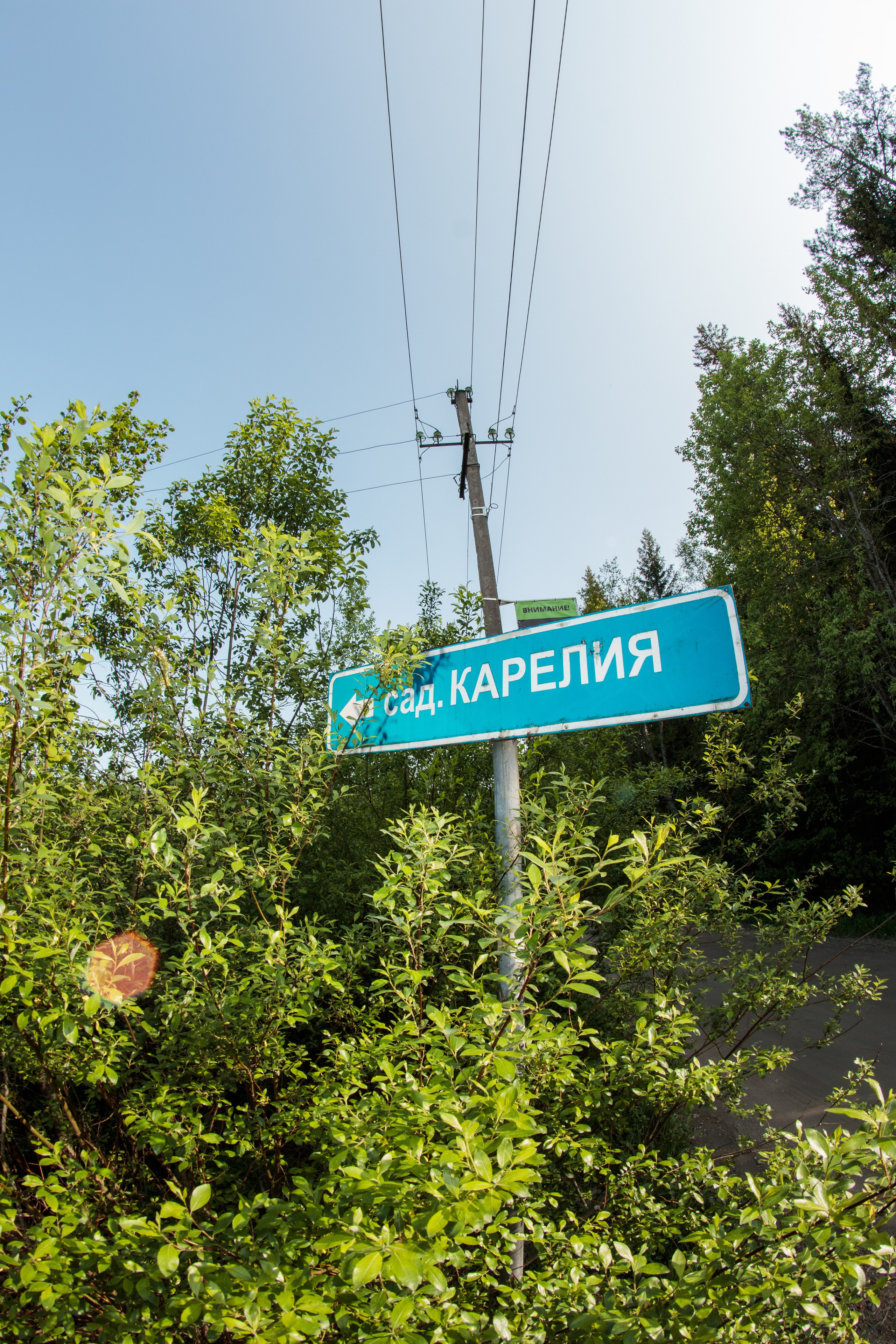 И вокруг меня. Портретный и концертный фотограф в Санкт-Петербурге Егор Телятников