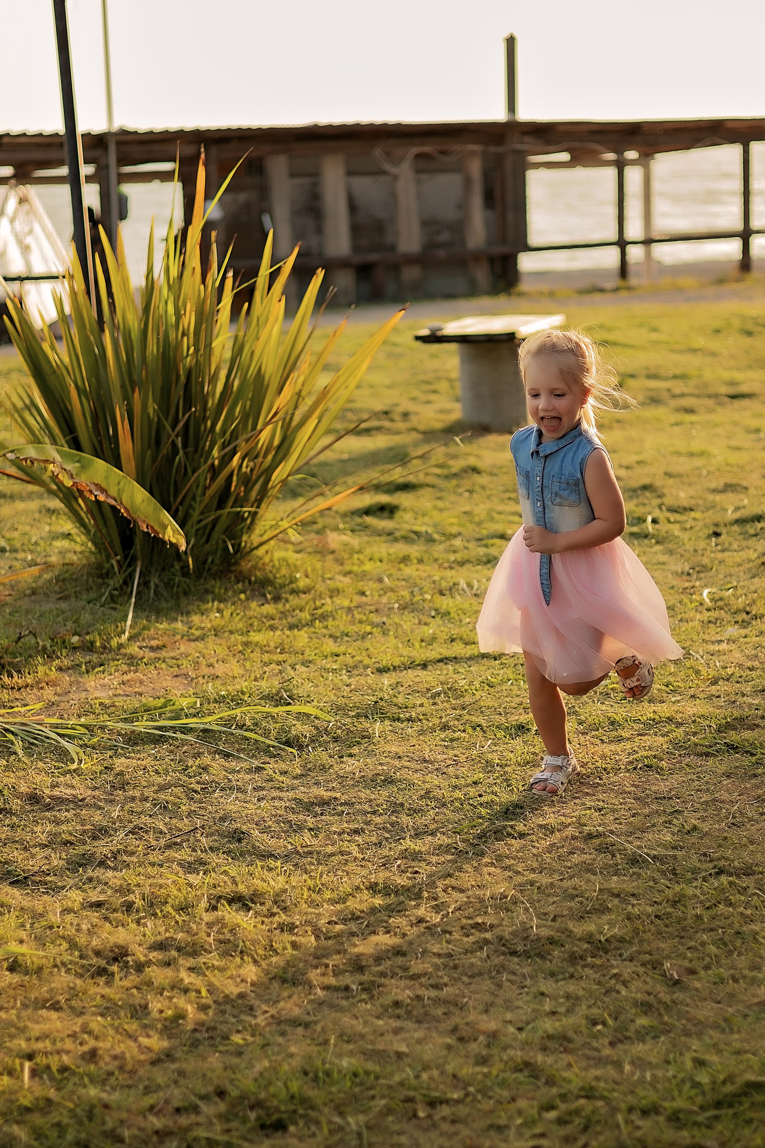 Три красотки. Свадебный и семейный фотограф в Абхазии Эля Цишба