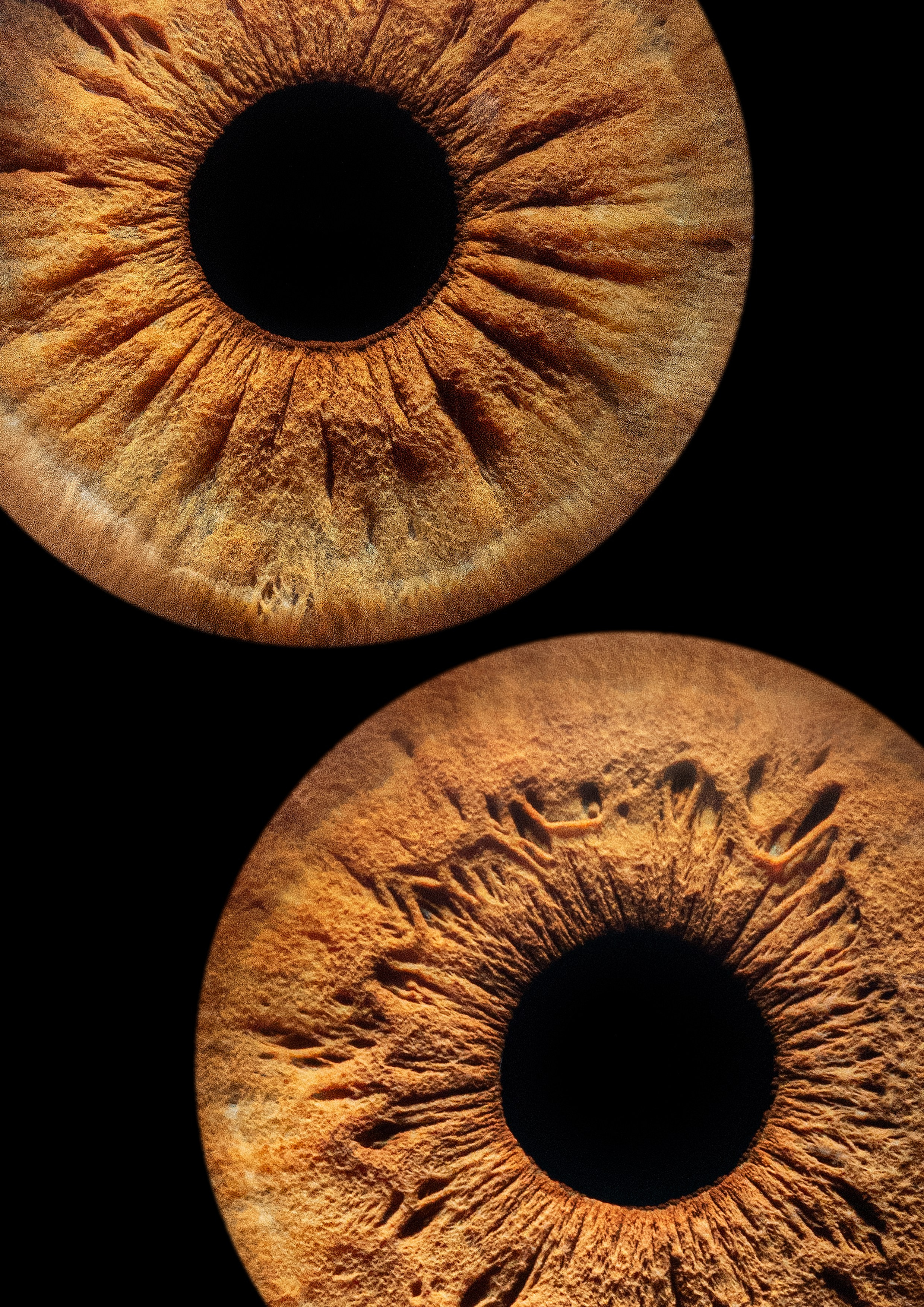 Примеры работ. Мой глаз