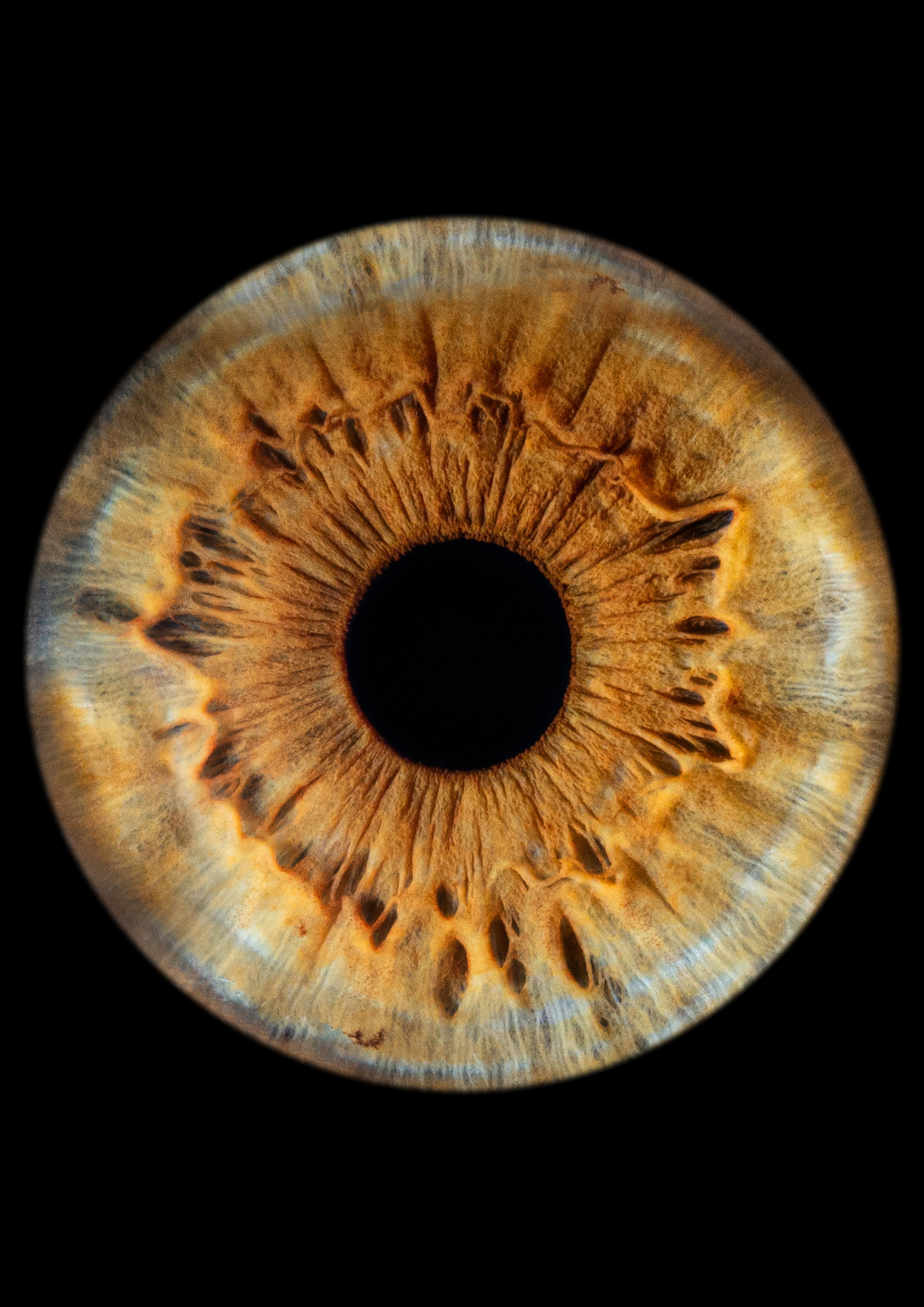 Примеры работ. Мой глаз