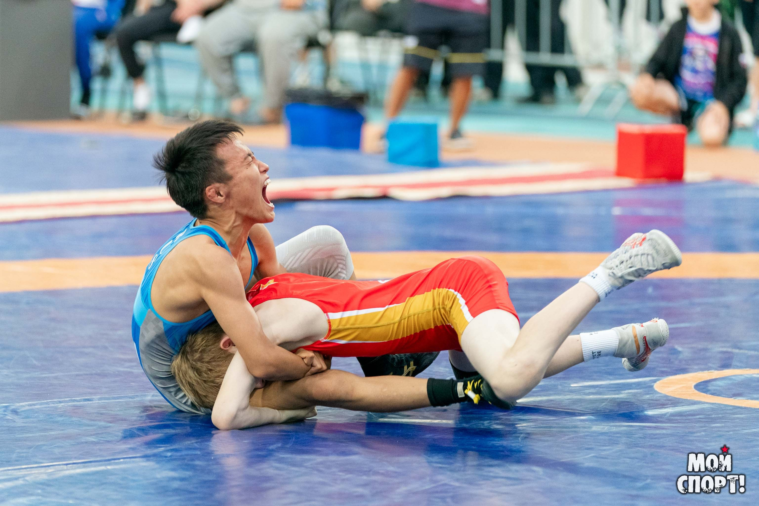 Международный, всероссийский и республиканский турниры по вольной борьбе среди юношей в честь П. П. Пинигина. Студия «Мой Спорт!» — все о спорте в Якутии