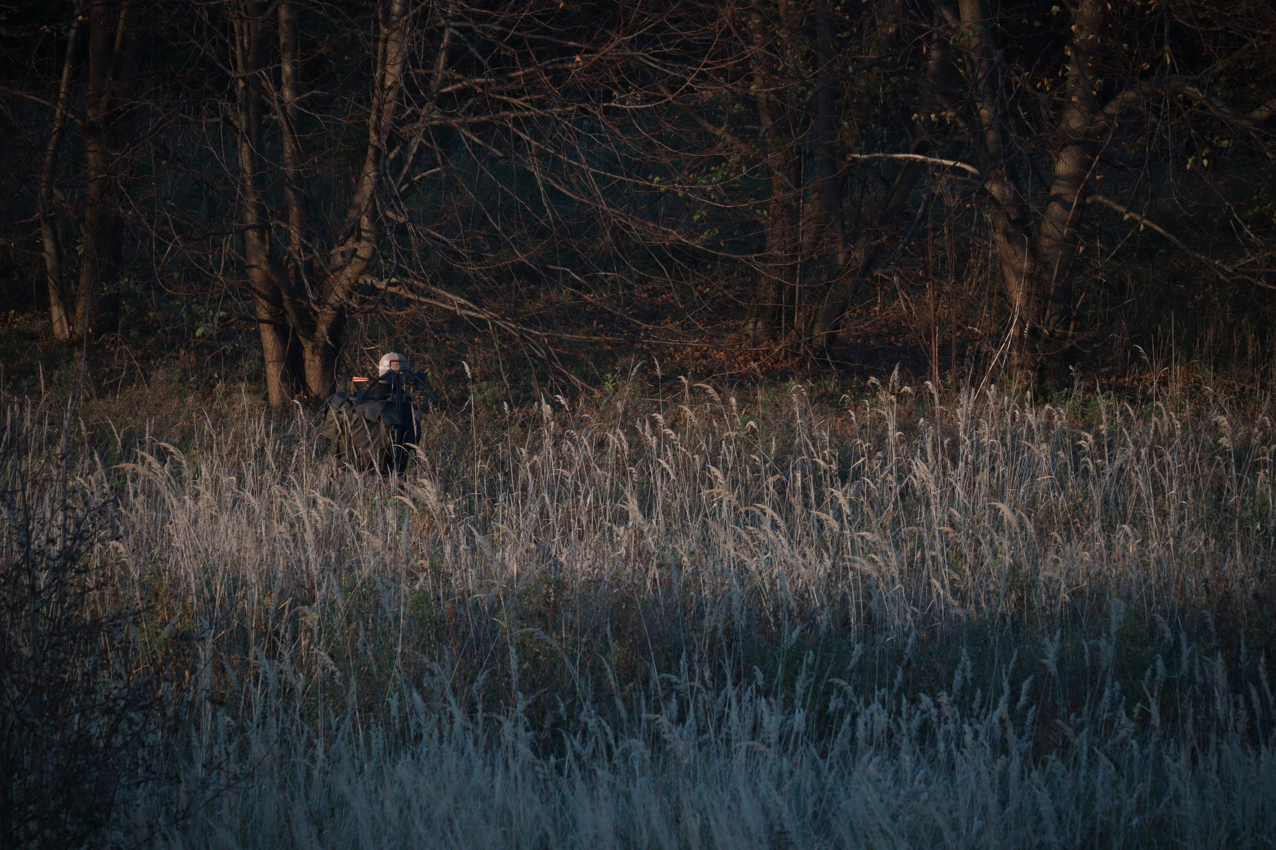 Никита П. (Daryl Dixon). — Digital Noise —