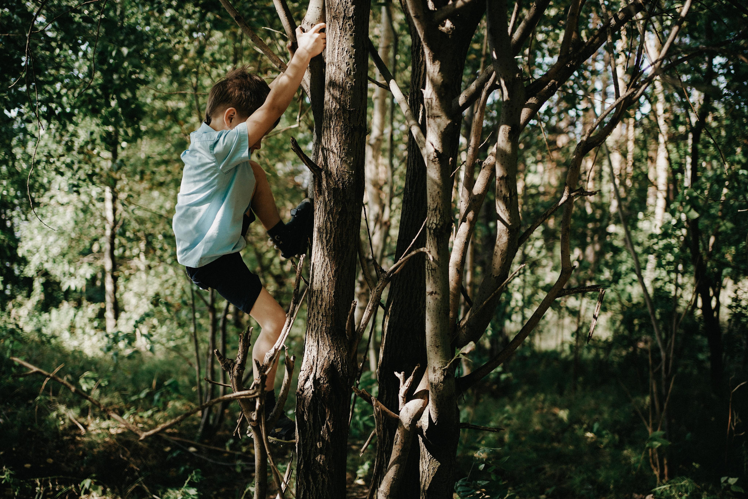 Парк и лес для чудес. Ася Краснова