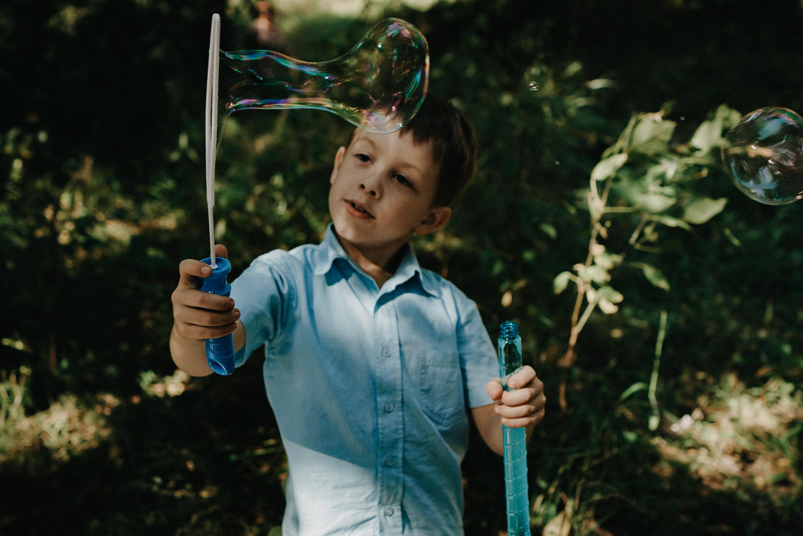 Парк и лес для чудес. Ася Краснова