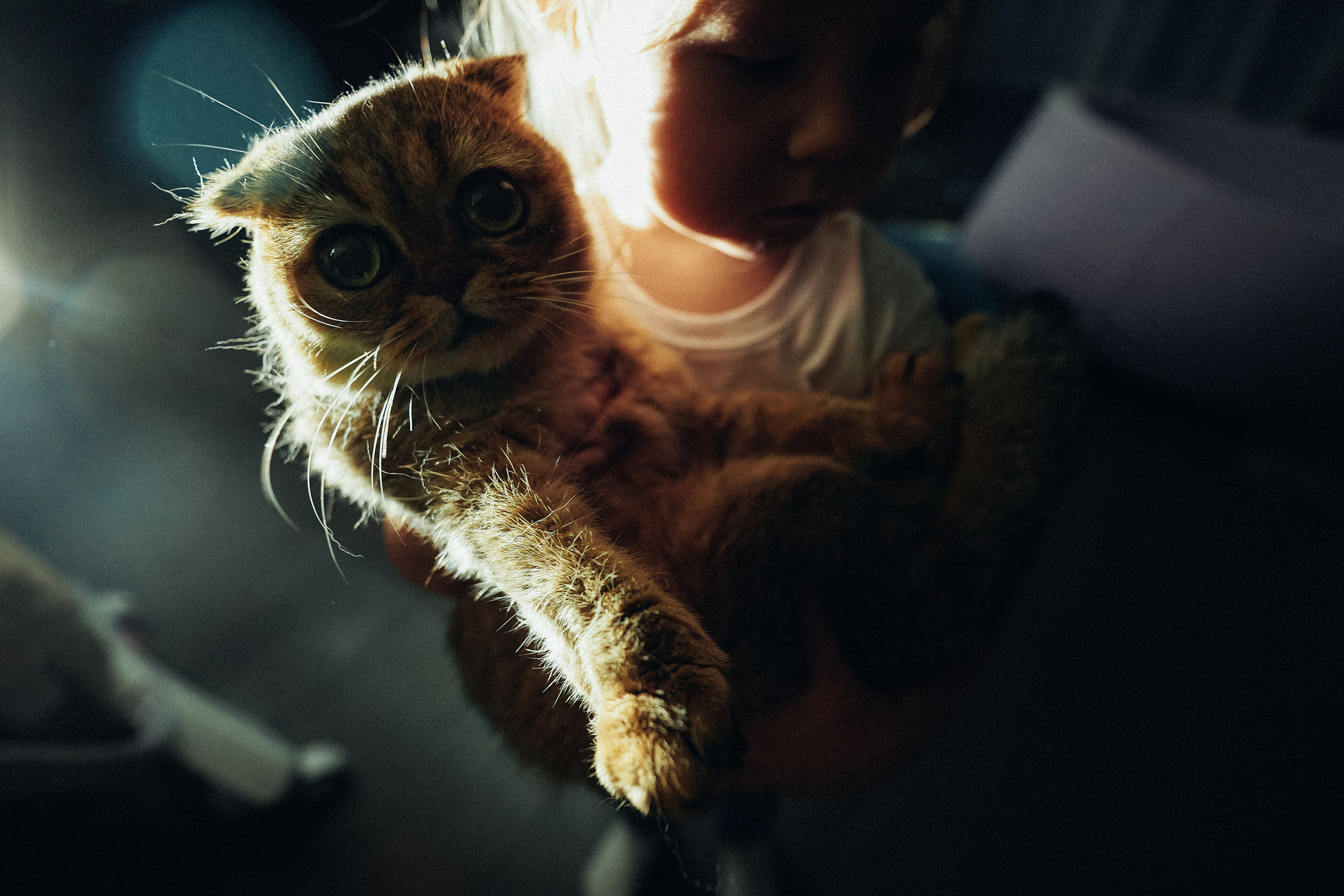 Желтые сапожки. Ася Краснова