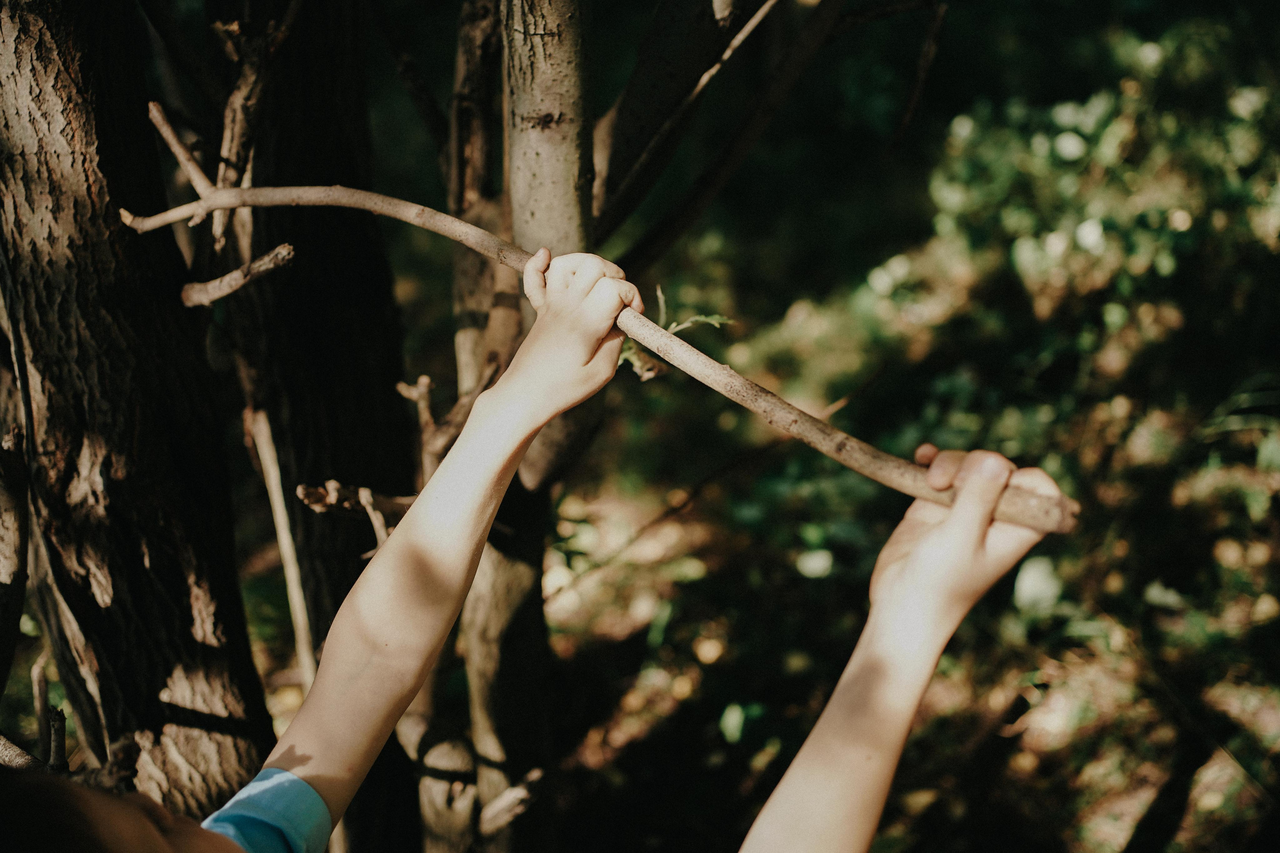 Парк и лес для чудес. Ася Краснова