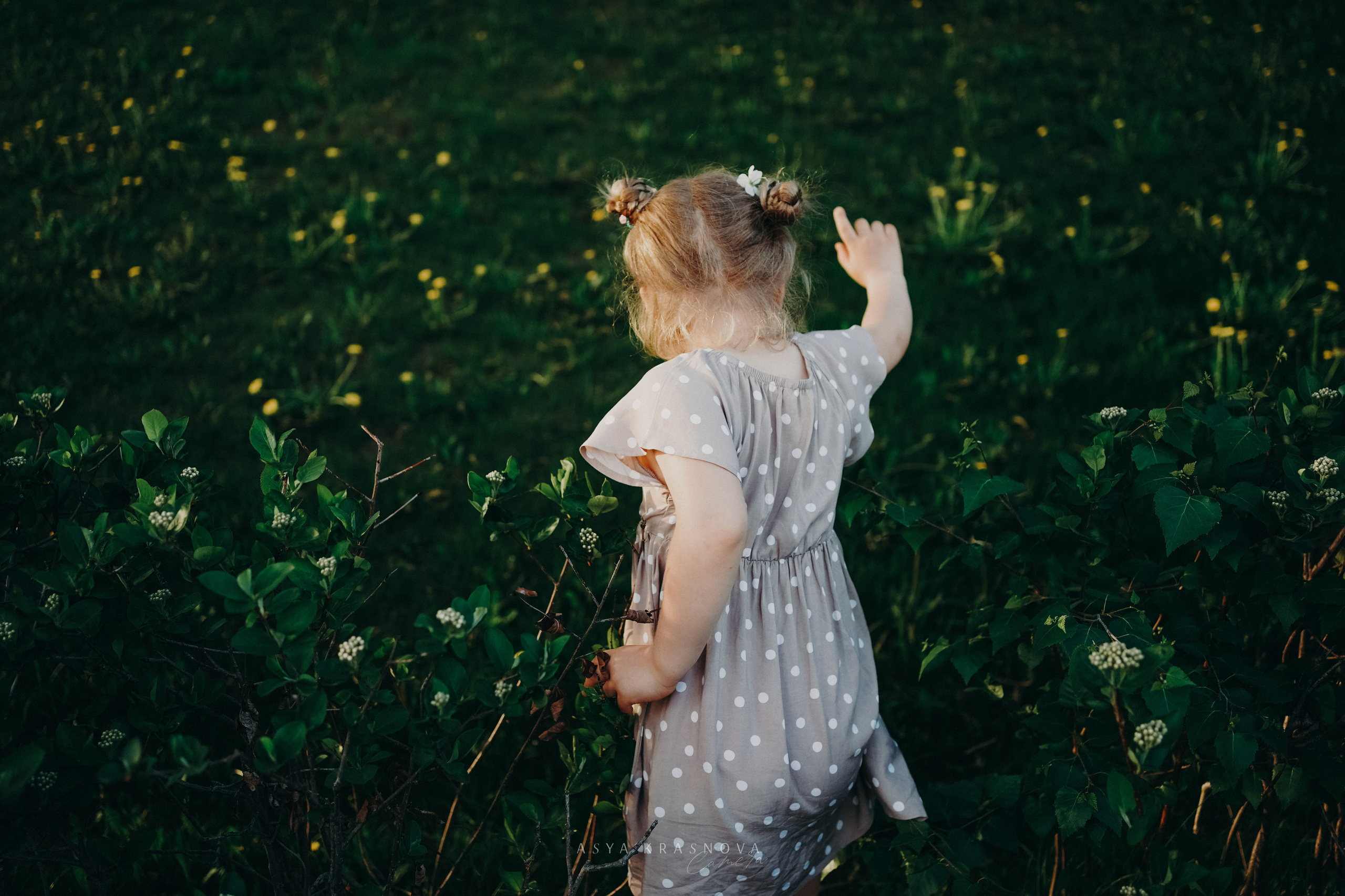 Любимые фотографии. Ася Краснова