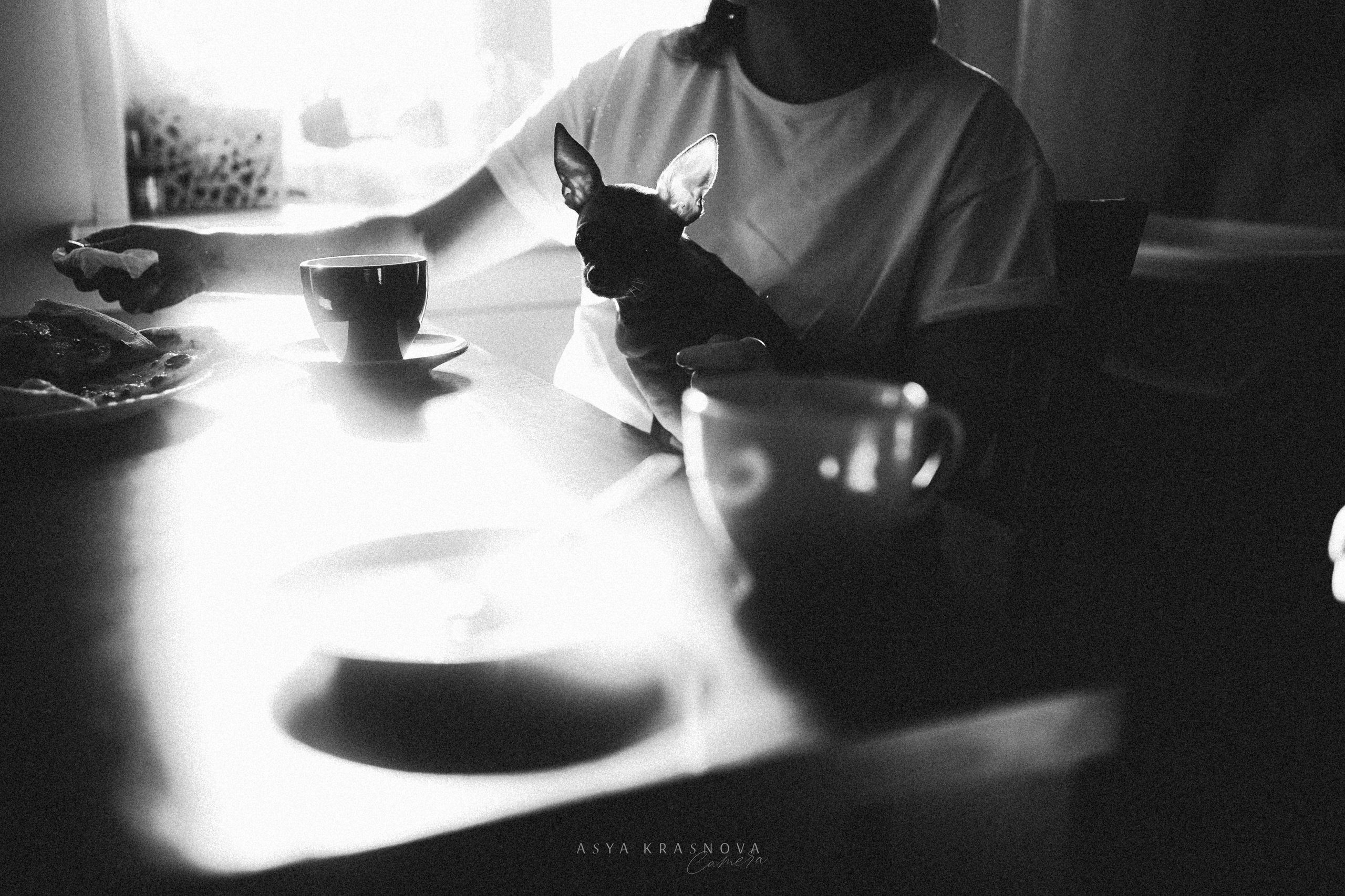 Любимые фотографии. Ася Краснова