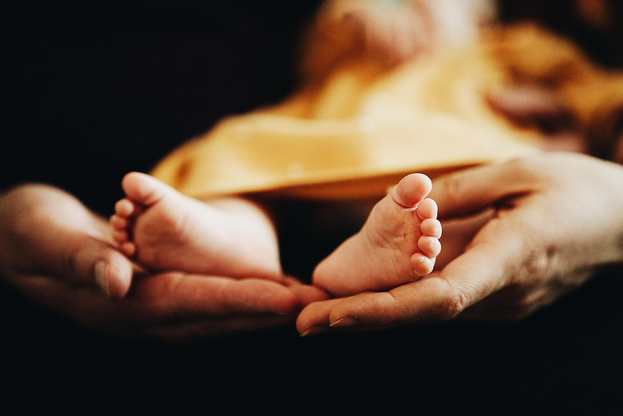 Клубника в шоколаде. Ася Краснова