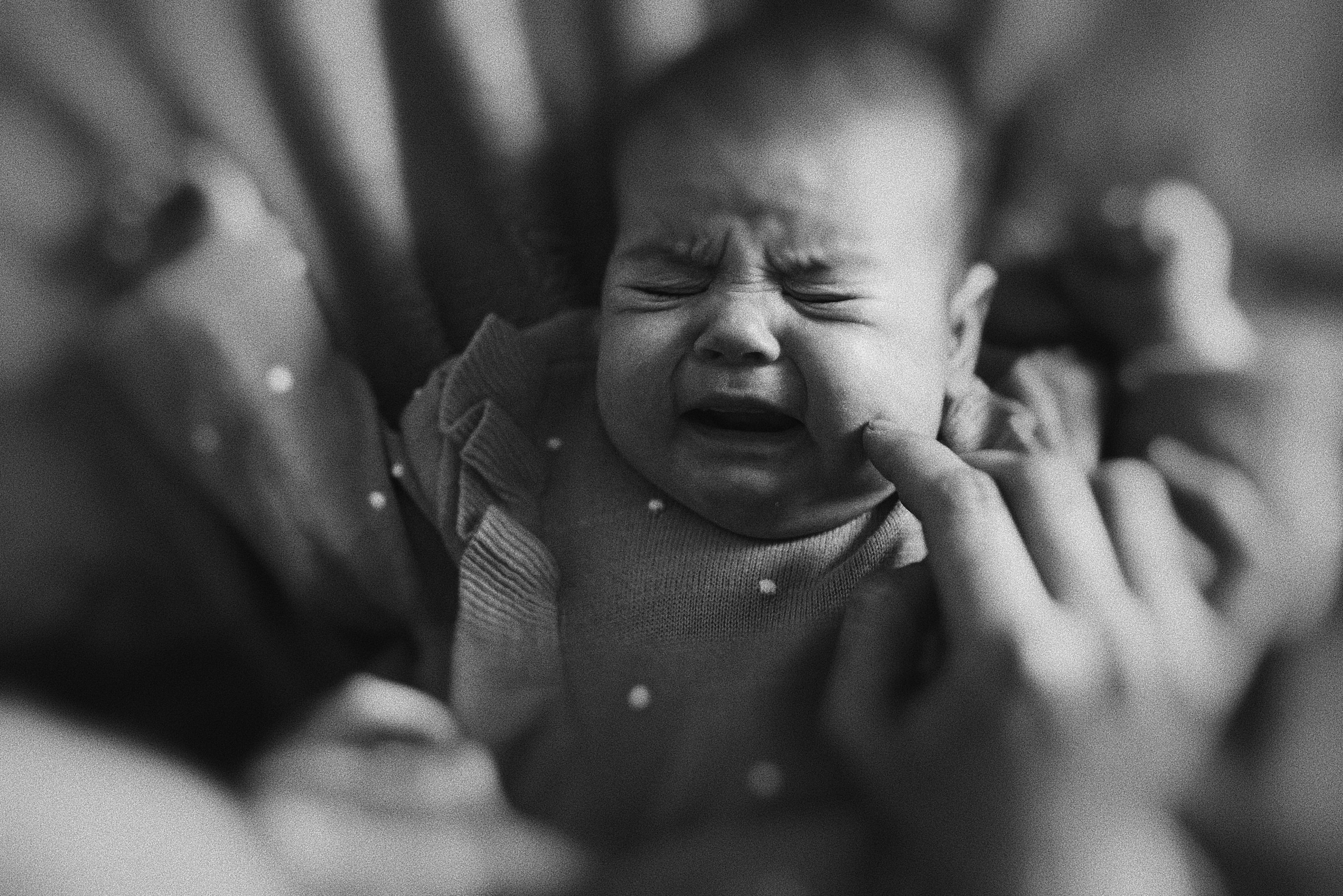 Клубника в шоколаде. Ася Краснова