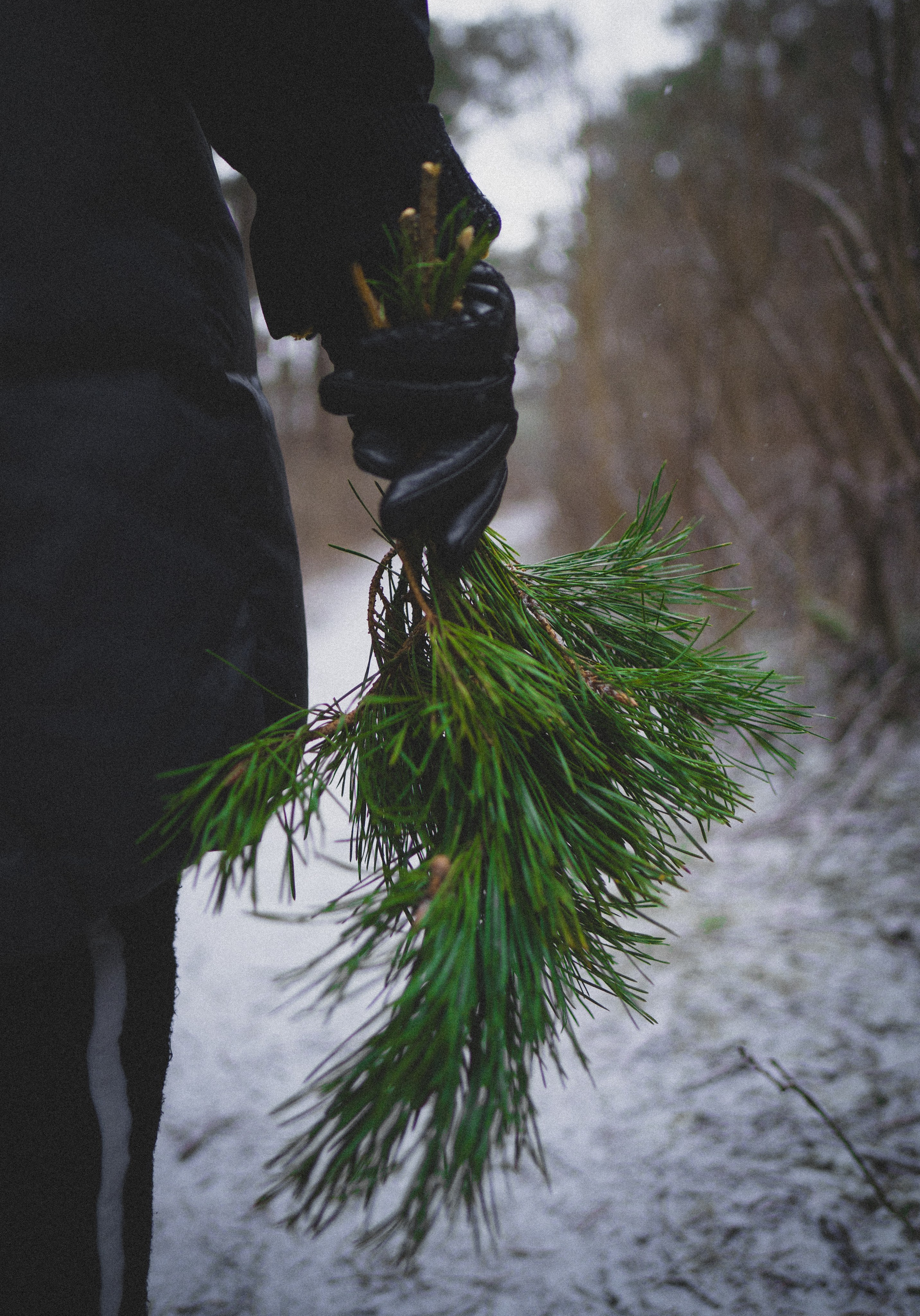 Морская фотосессия на побережье Балтийского моря. MAX MAGNETIC — фотограф в Санкт-Петербурге