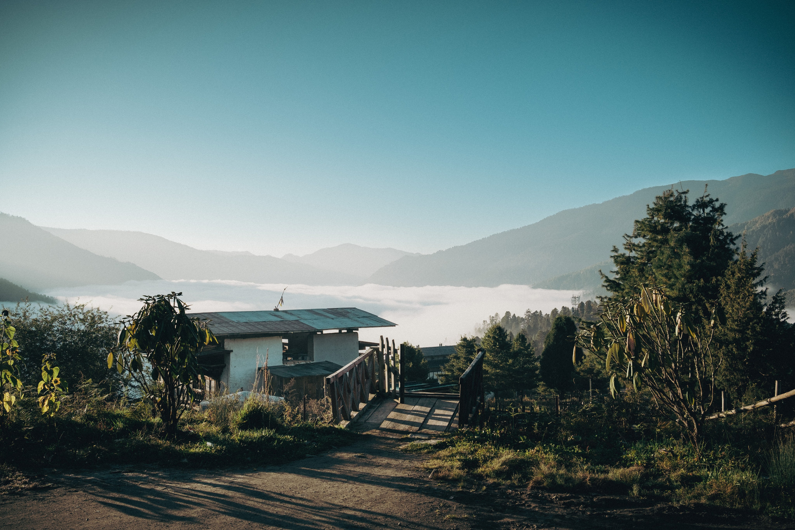 Bhutan. Dmitry Ippolitov