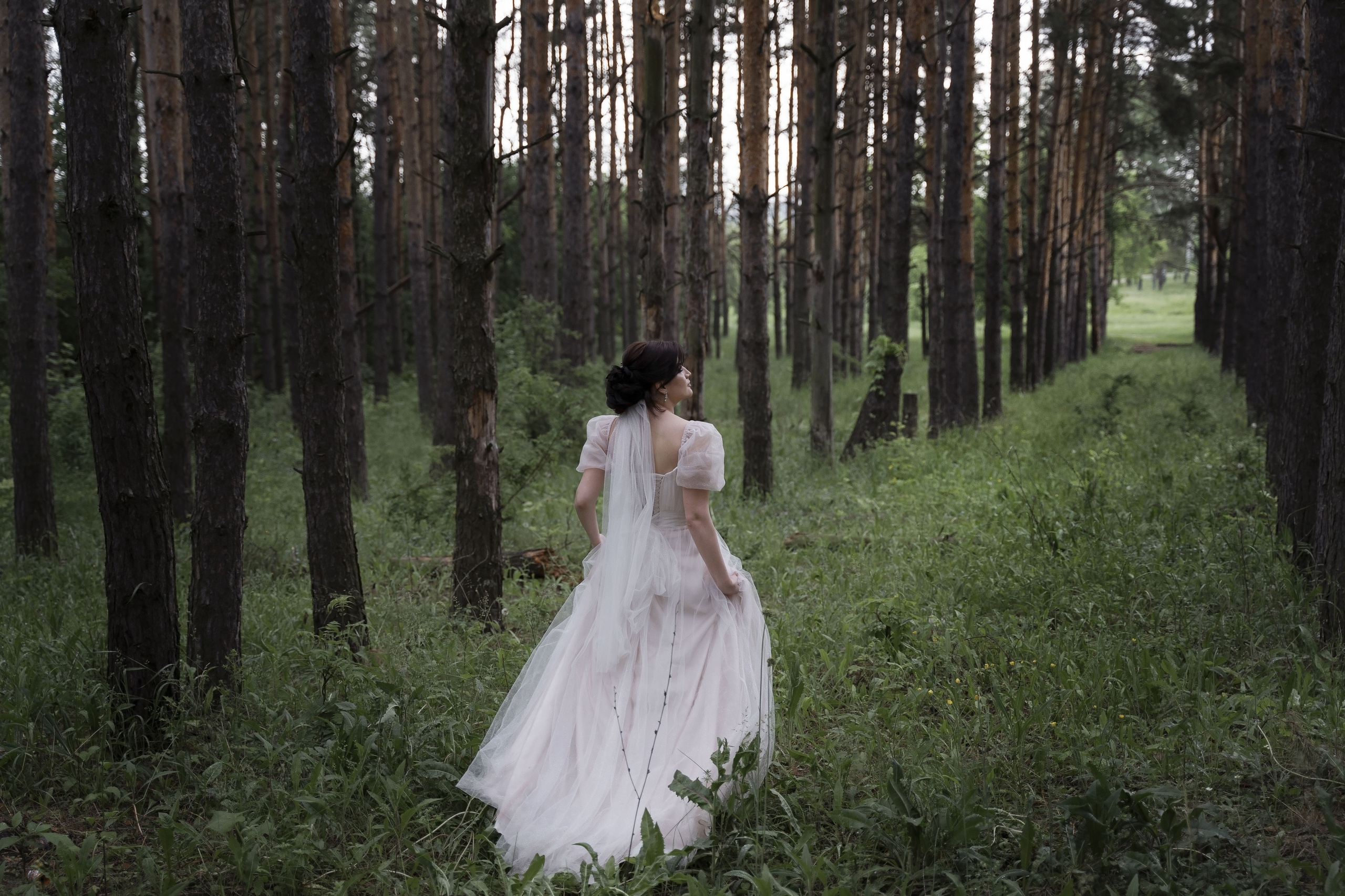 Виктория и Дмитрий (г.Орел). Фотограф Вера Зверуго в Орле