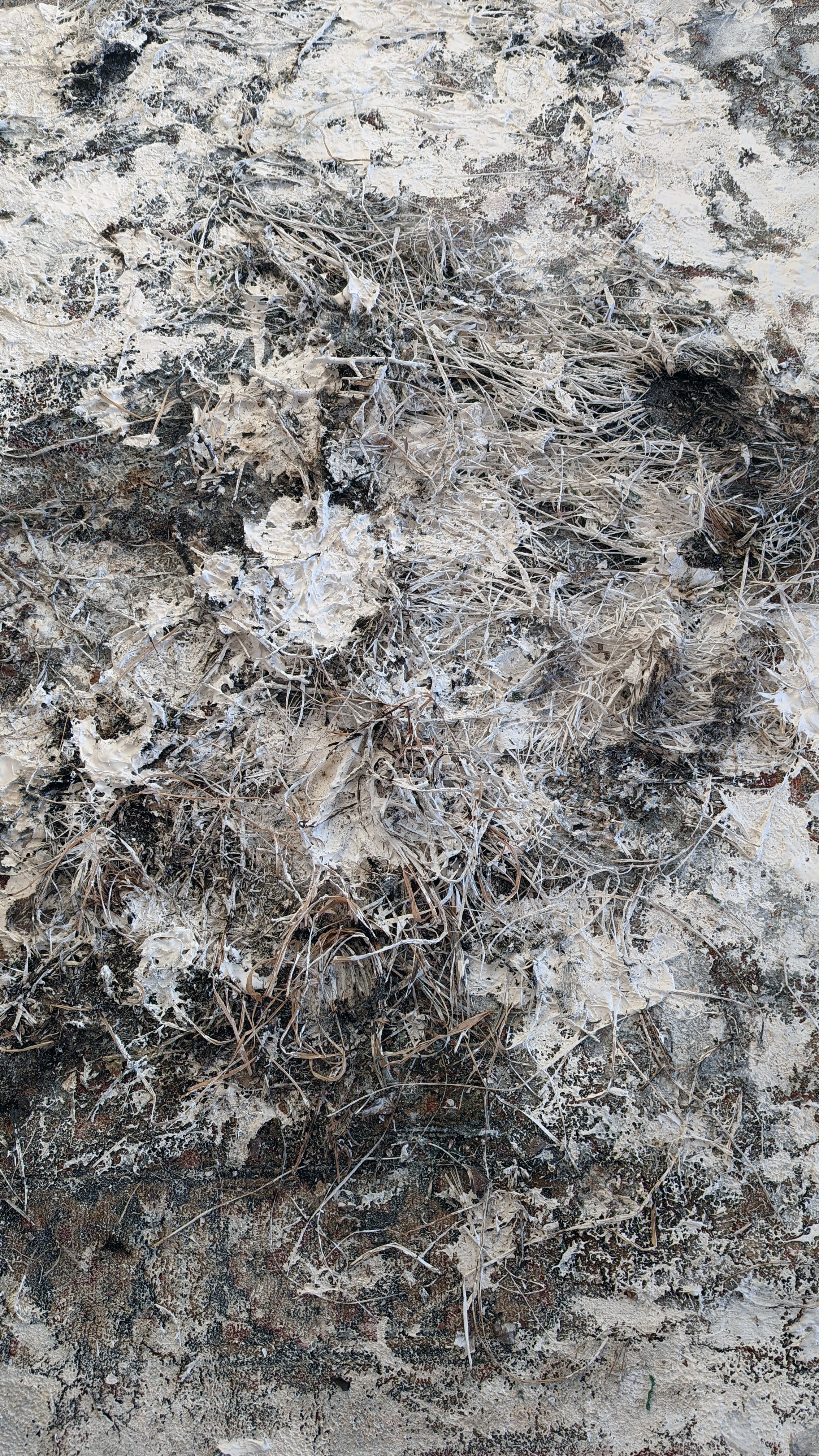 Белый ковёр. Рузанна Тетерина