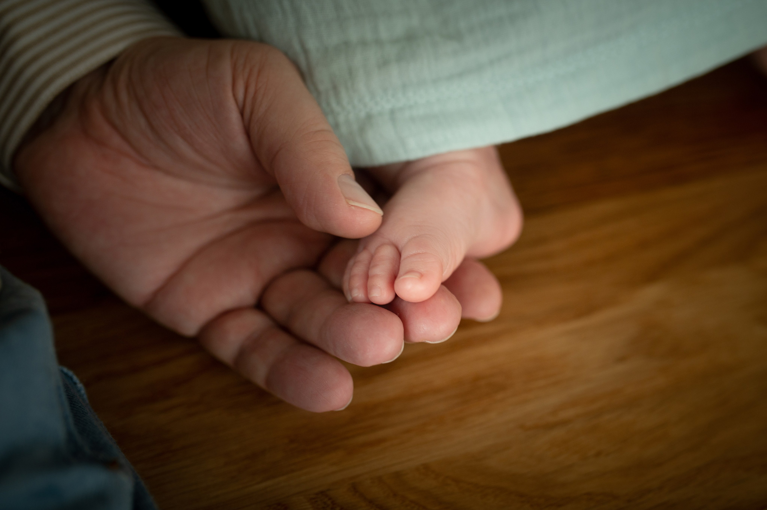 Домашняя съемка с детьми. Семейный фотограф в Москве Ольга Барсукова