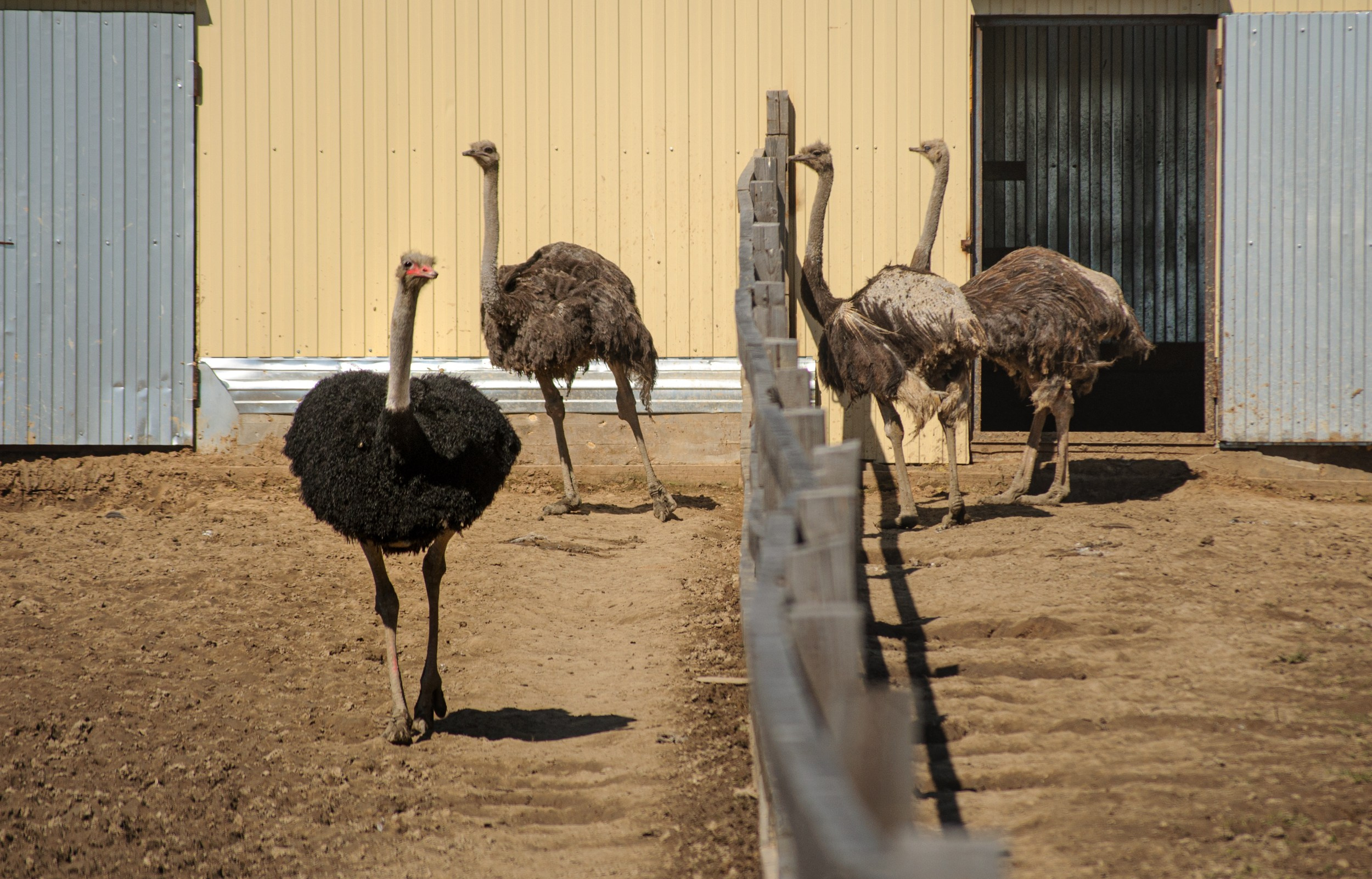 Производственные организации. Фотограф Юлия Близнецова