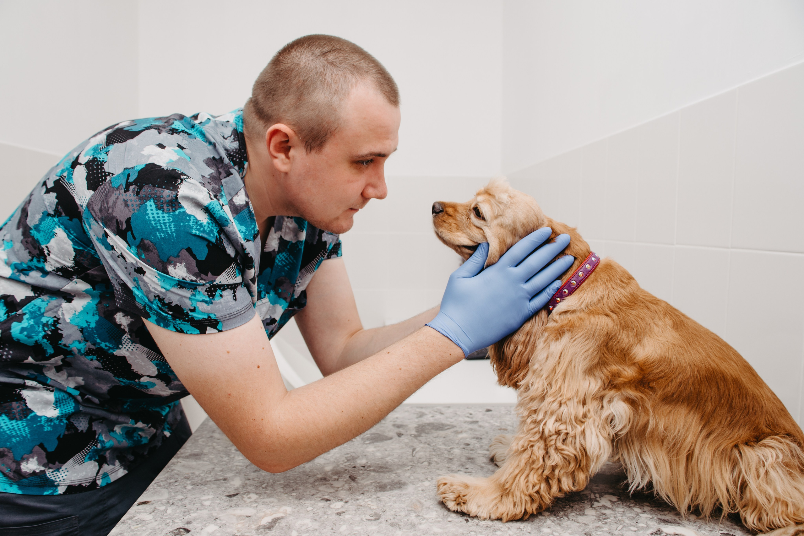Предметка, каталог, реклама. Анна Оранжевая — фотограф | съёмки про жизнь, состояние и настоящие эмоции