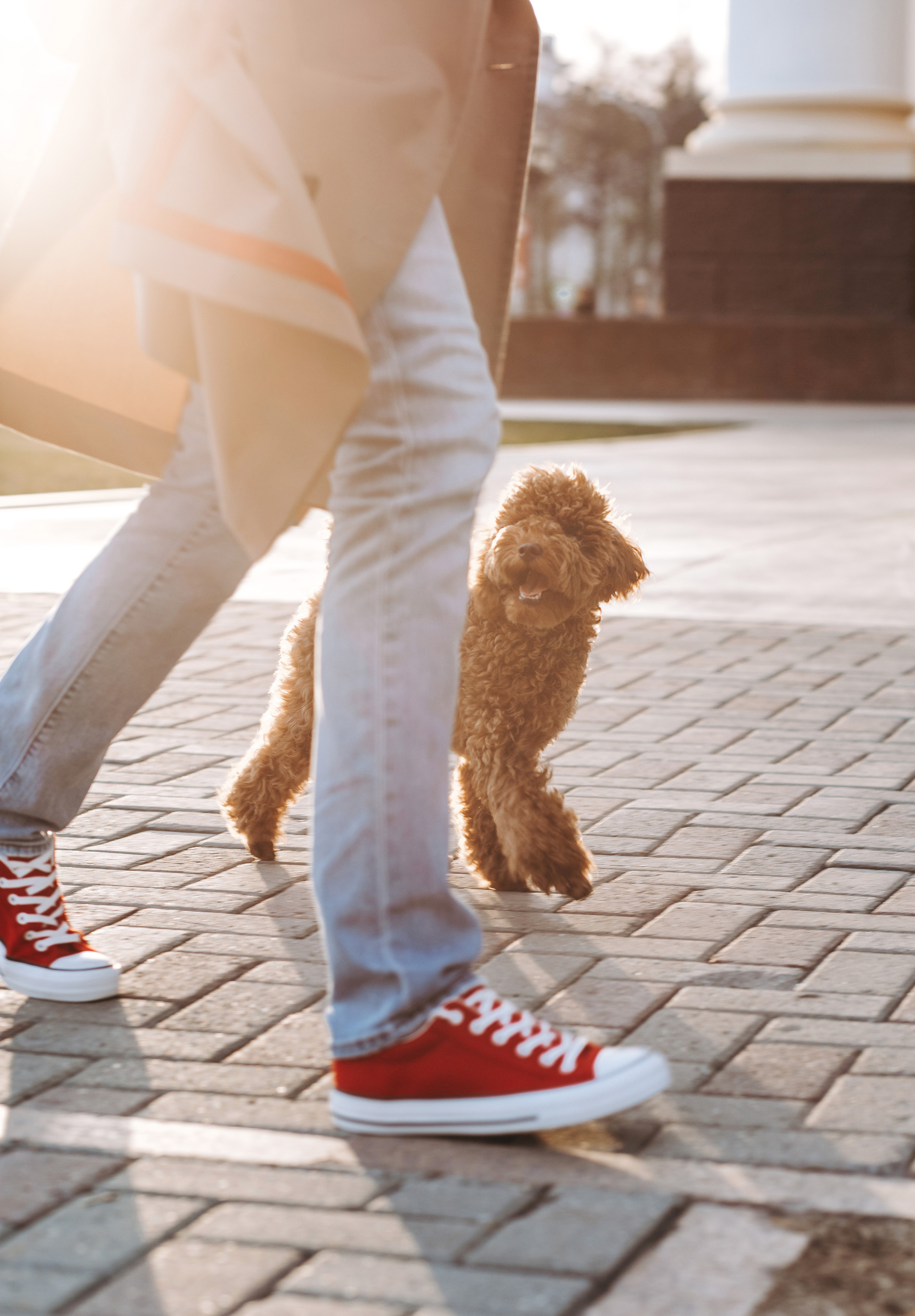 Оля и Молли. Фотограф в Тюмени | Оксана Пасичник