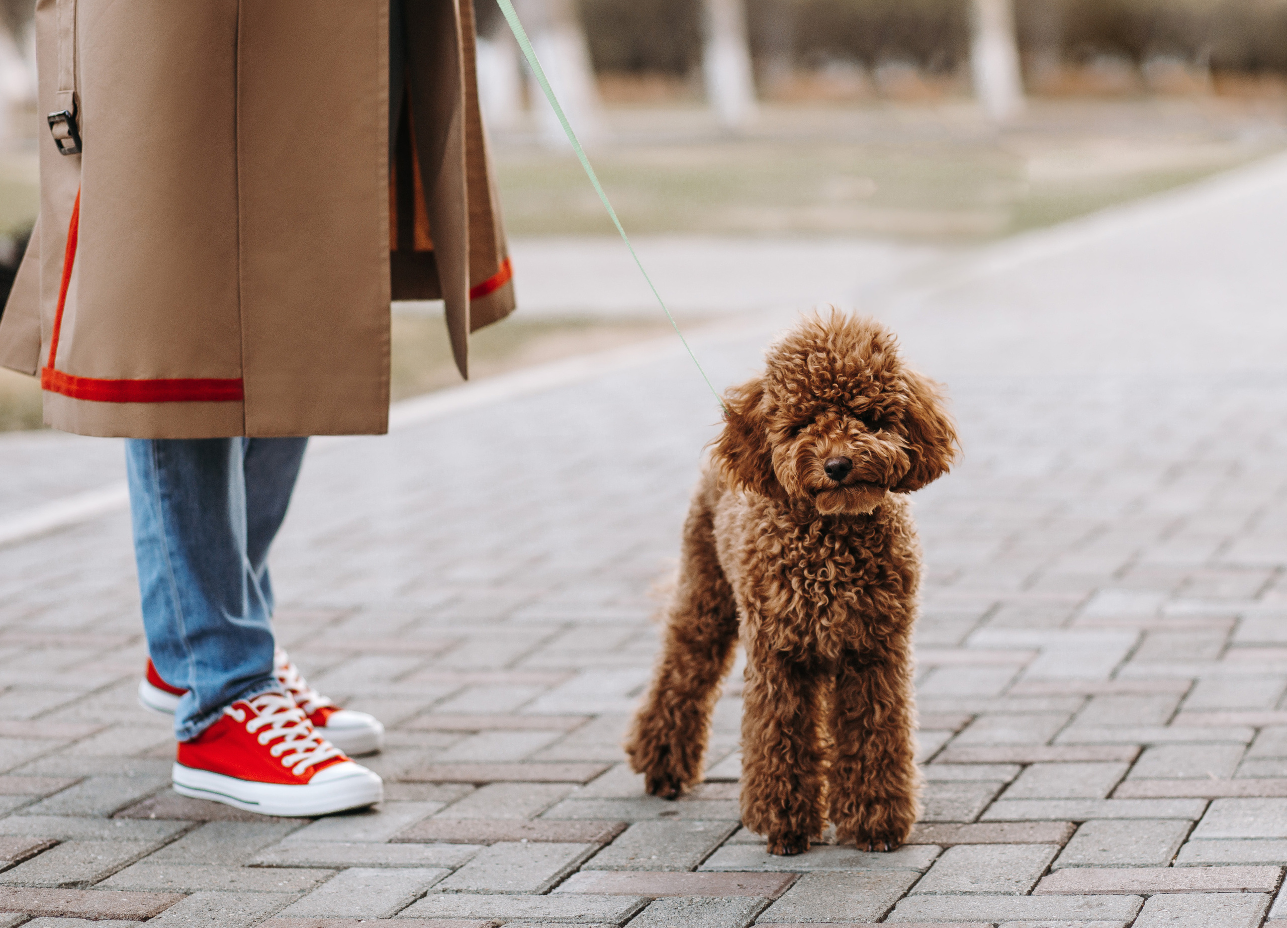 Оля и Молли. Фотограф в Тюмени | Оксана Пасичник