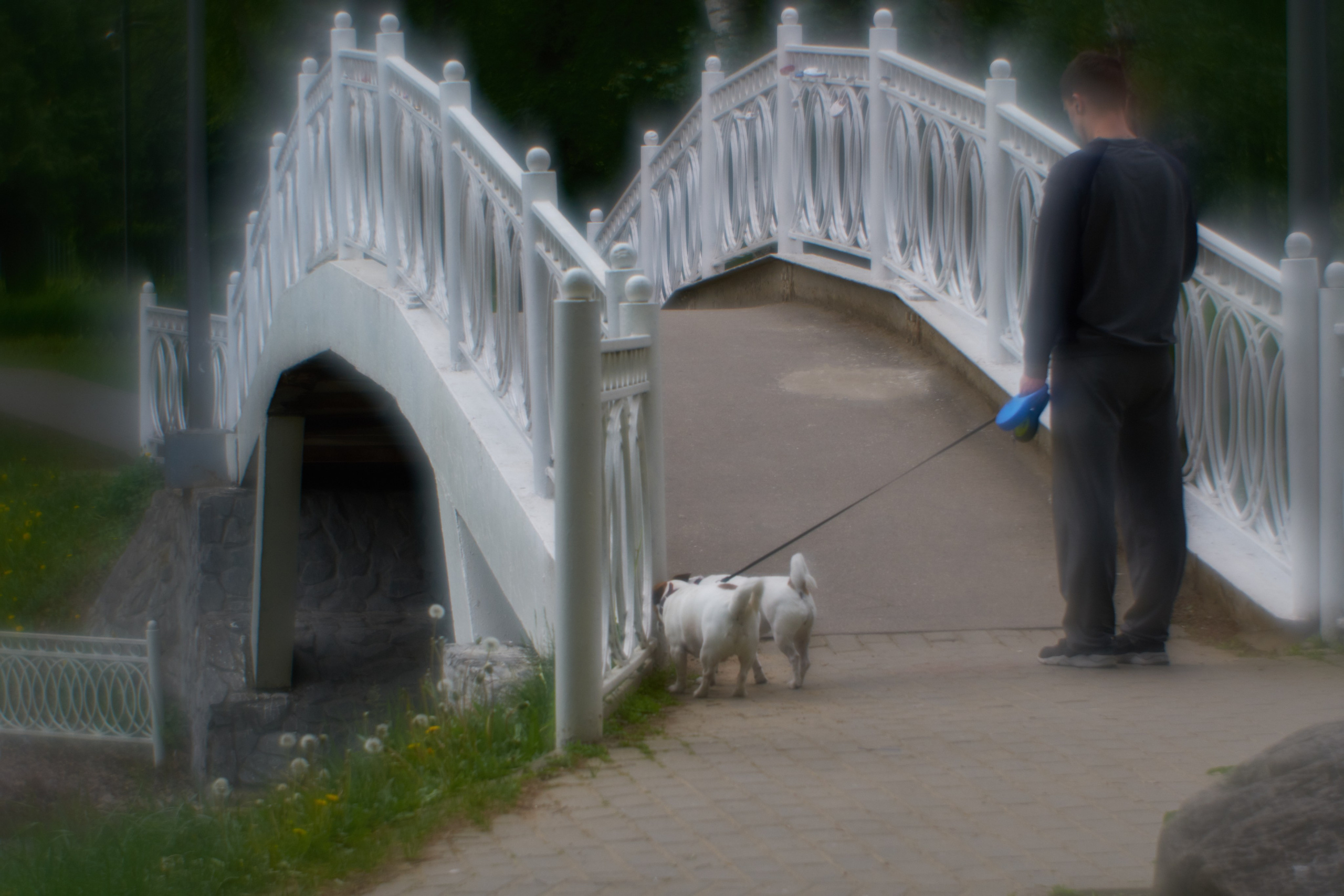 Пикториализм в природе. Сайт фотографа Виталия Дени