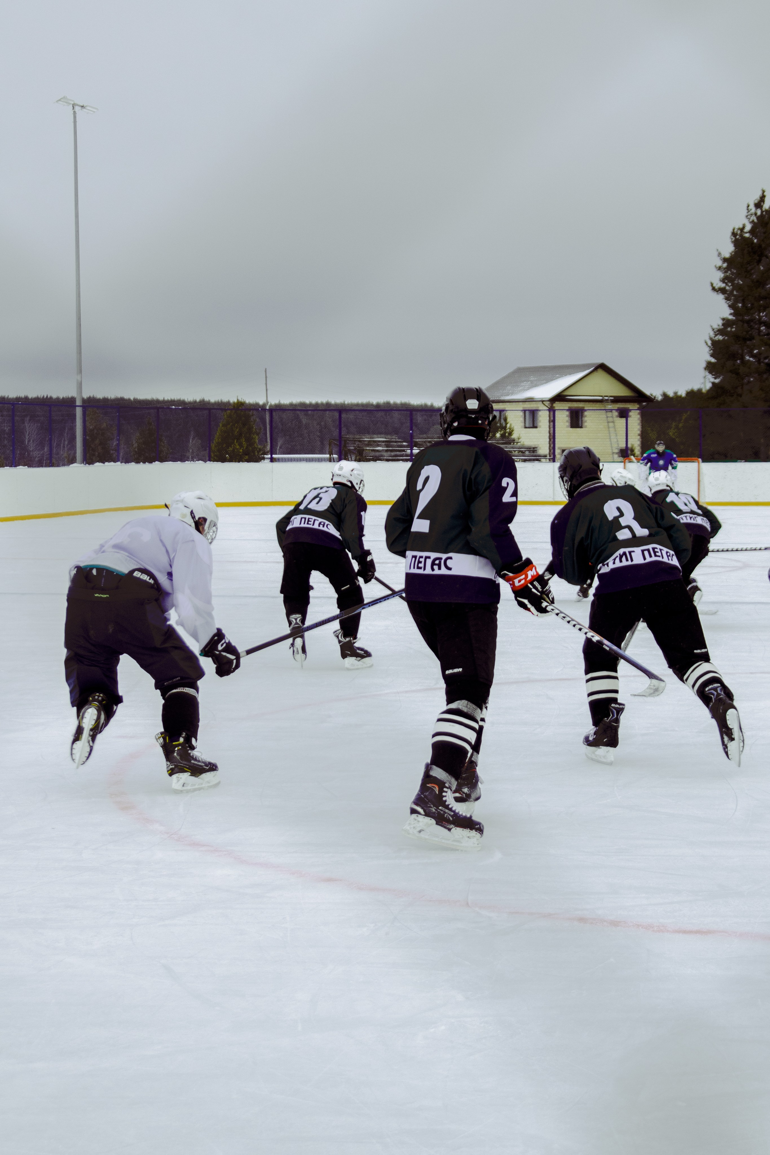Хоккей 29.12.2024
