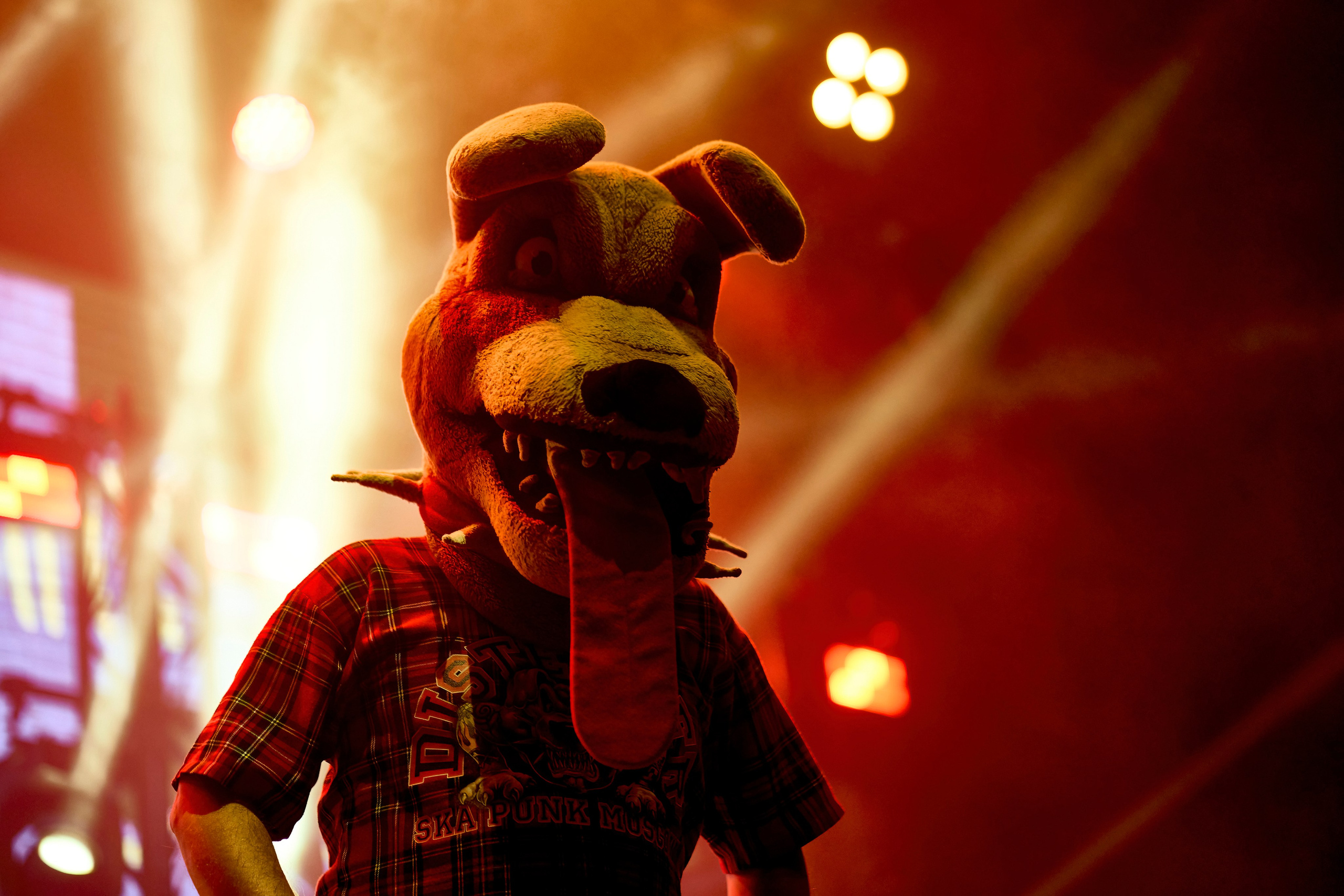 DISTEMPER / BASE/ 23.09.2023. Ekhovanov | фото- видеосъемка