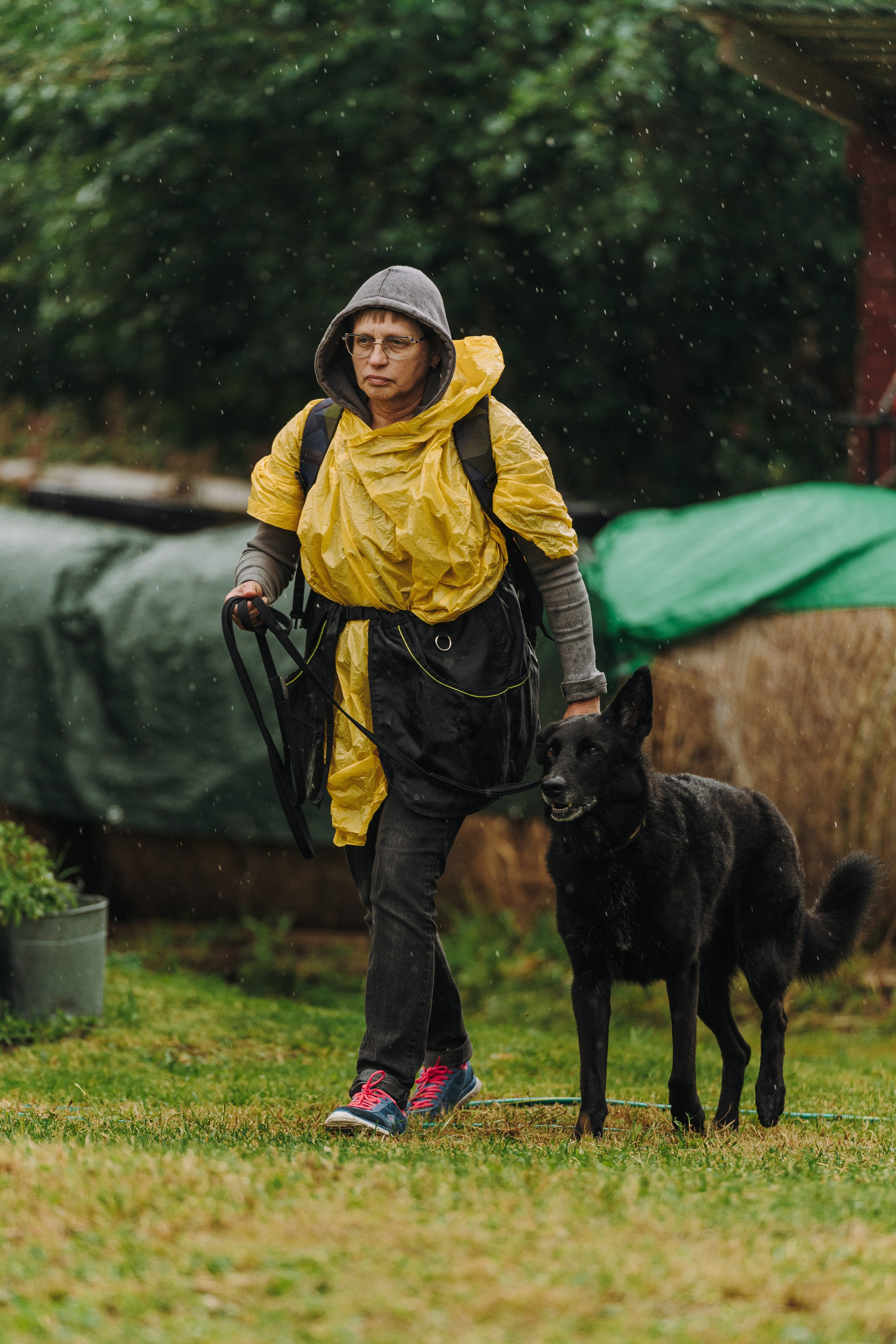 Соревнования по ноузворку в Новожилово. Фотограф анималист в Спб недорого Олеся Майорова